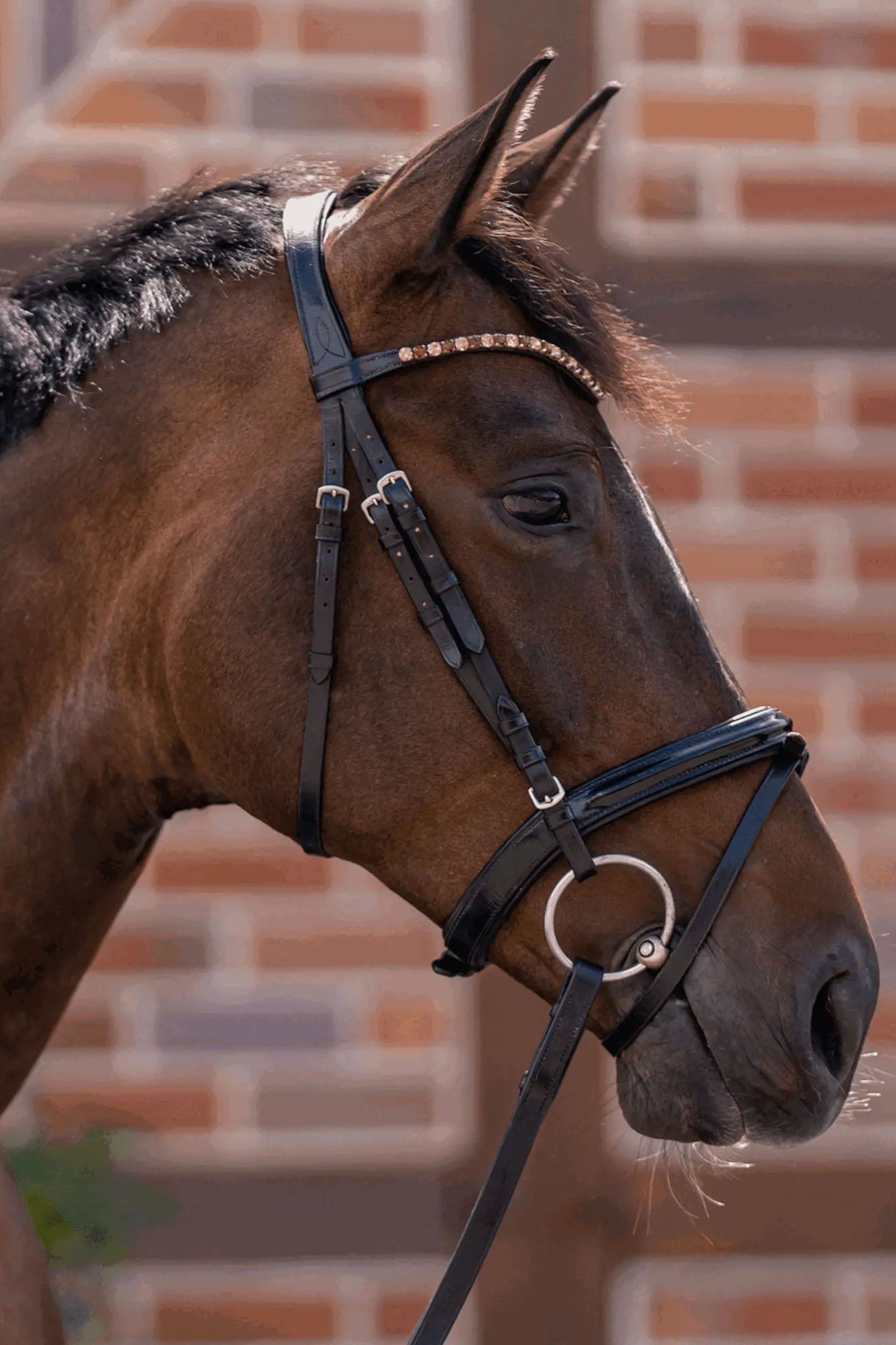 Sprenger Novocontact løse ringer bitt 14mm enkeltleddet Sensogan med 70mm ringer i rustfritt stål