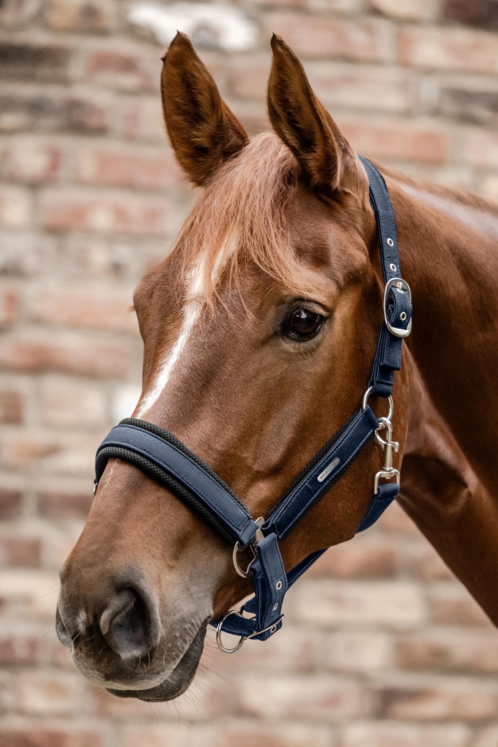 Waldhausen Breath Mesh Grime