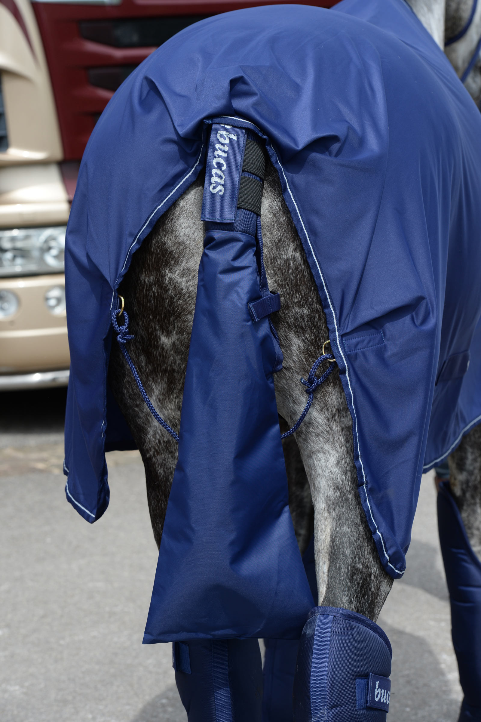 Bucas Halebeskytter & Halebag