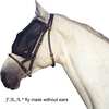 F.R.A. Freedom Riding Articles Cavallo fluemaske
