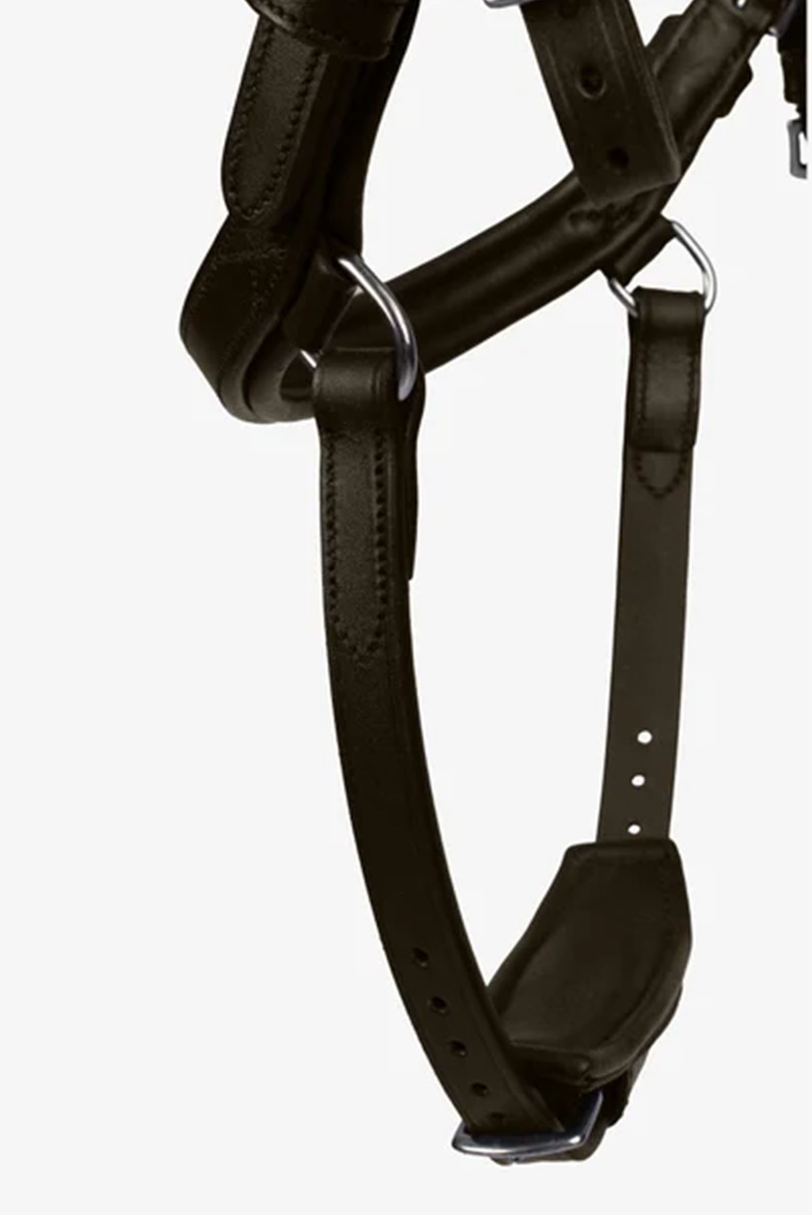 PS of Sweden Hodelag King Edward