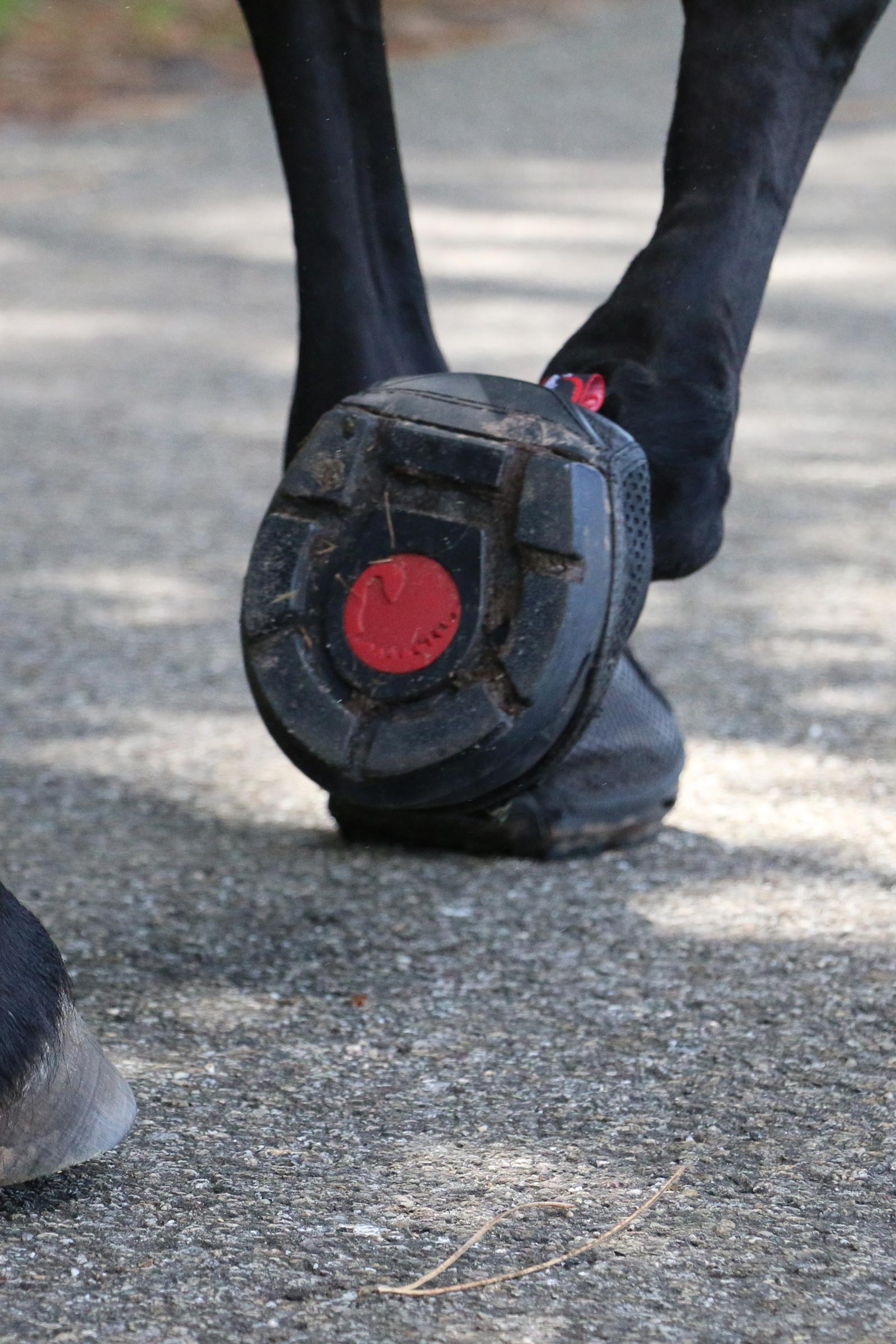 Cavallo Hoof Boots F.R.A. Trek SRS Boots (vanlig/par)