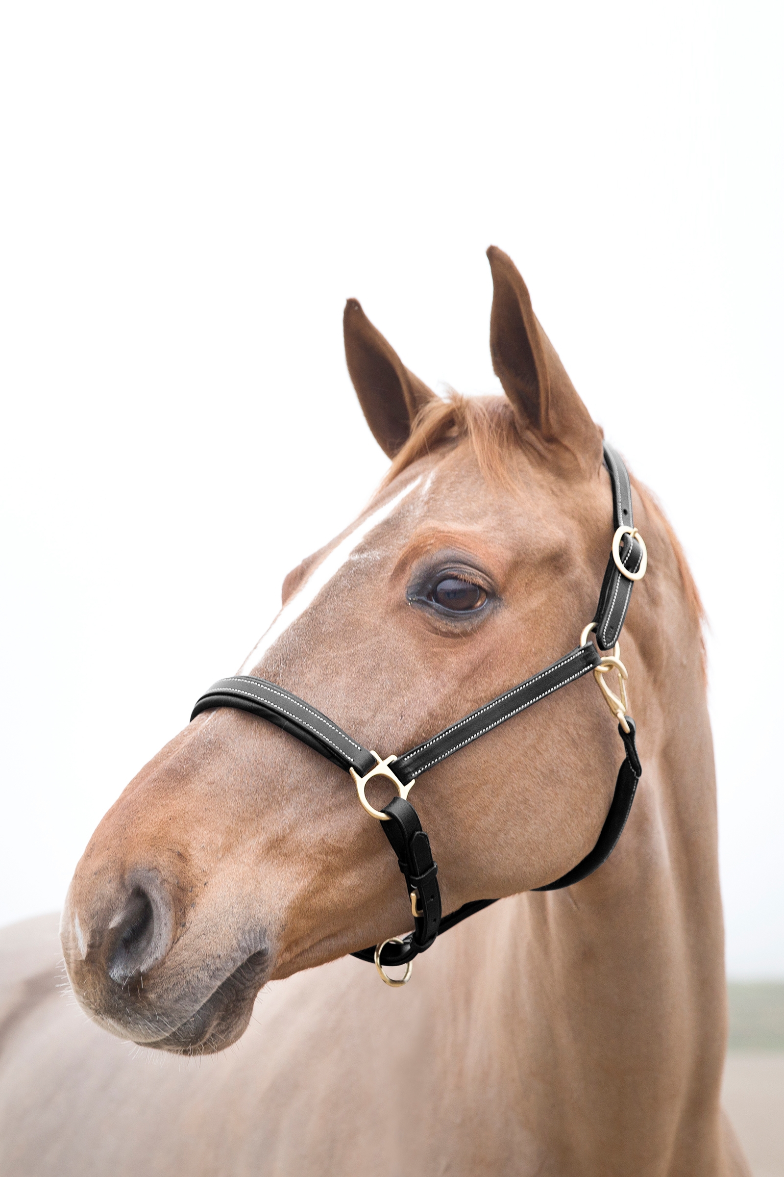 Horze Largo l&aelig;rgrime