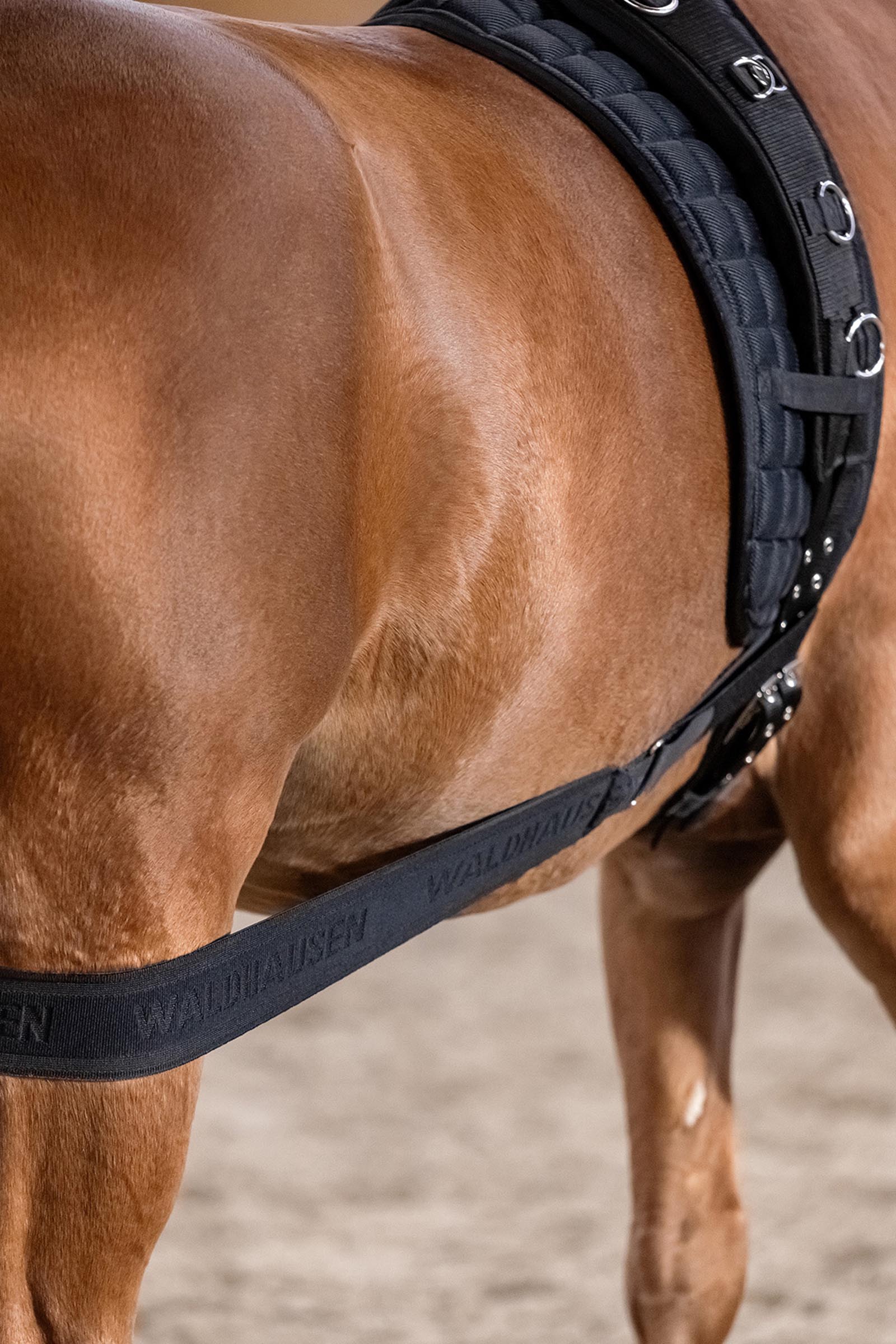 Waldhausen bodybandasje for aktivering av bakparten