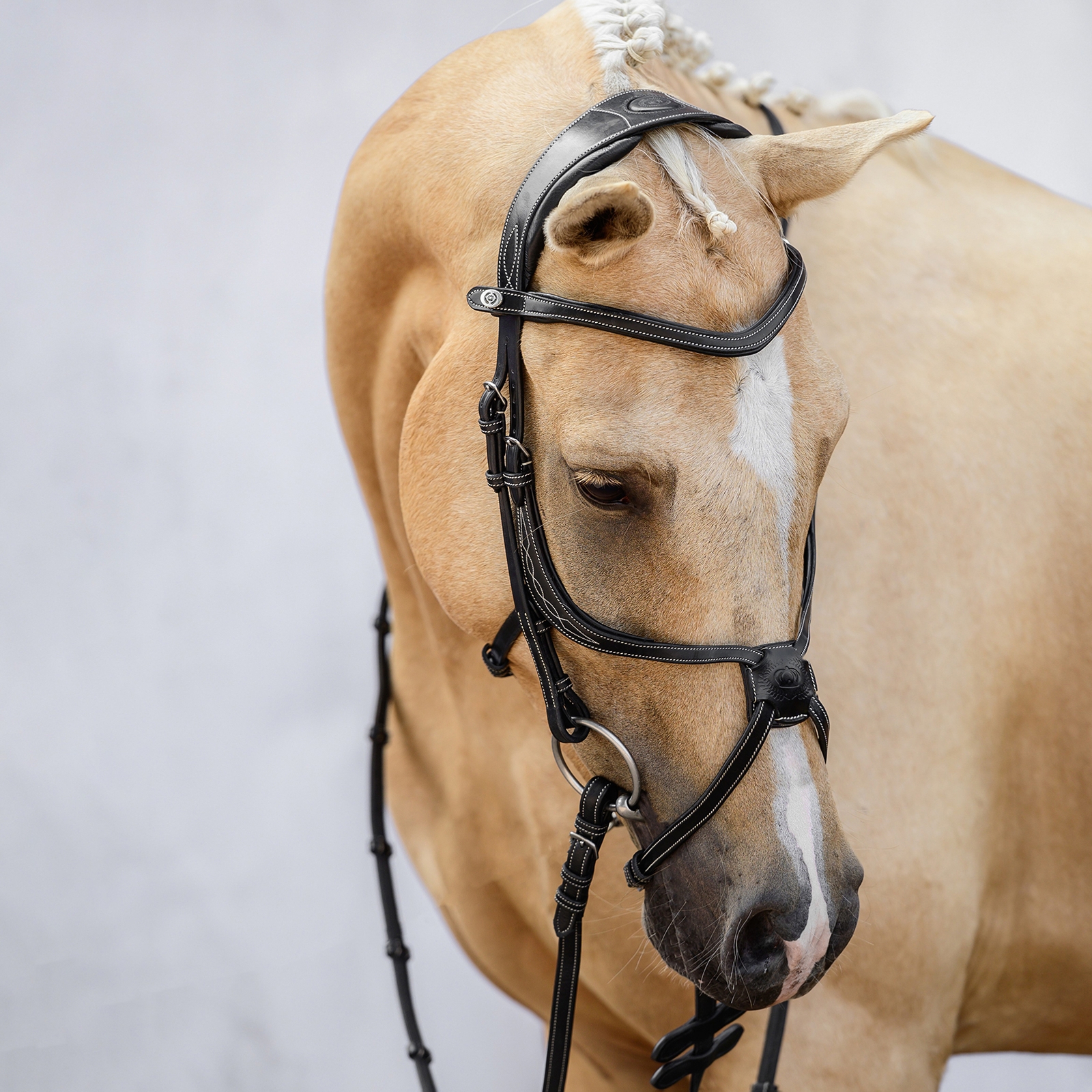 PS of Sweden Athens meksikansk hodelag