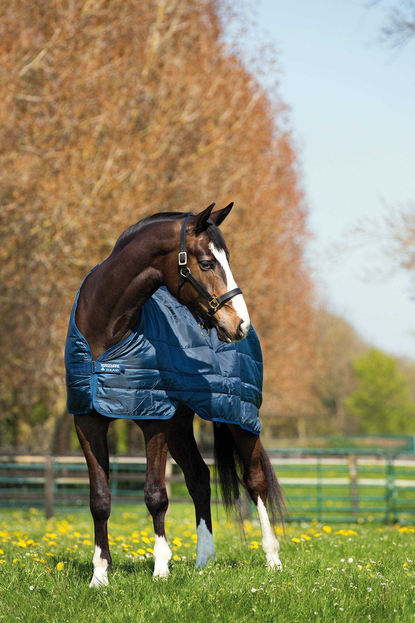 Horseware innerf&ocirc;r 400 g