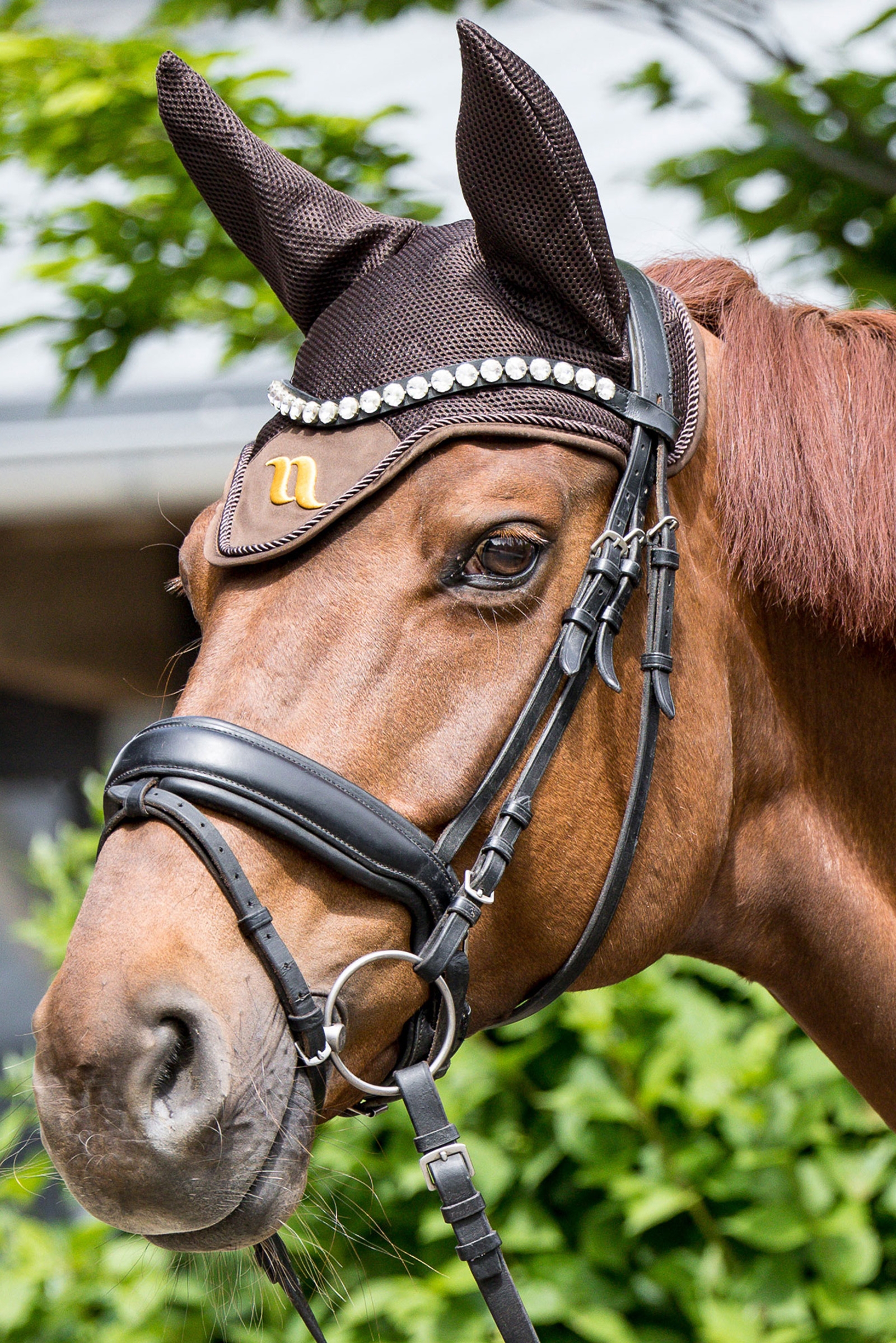 Back on Track Airflow ørehette