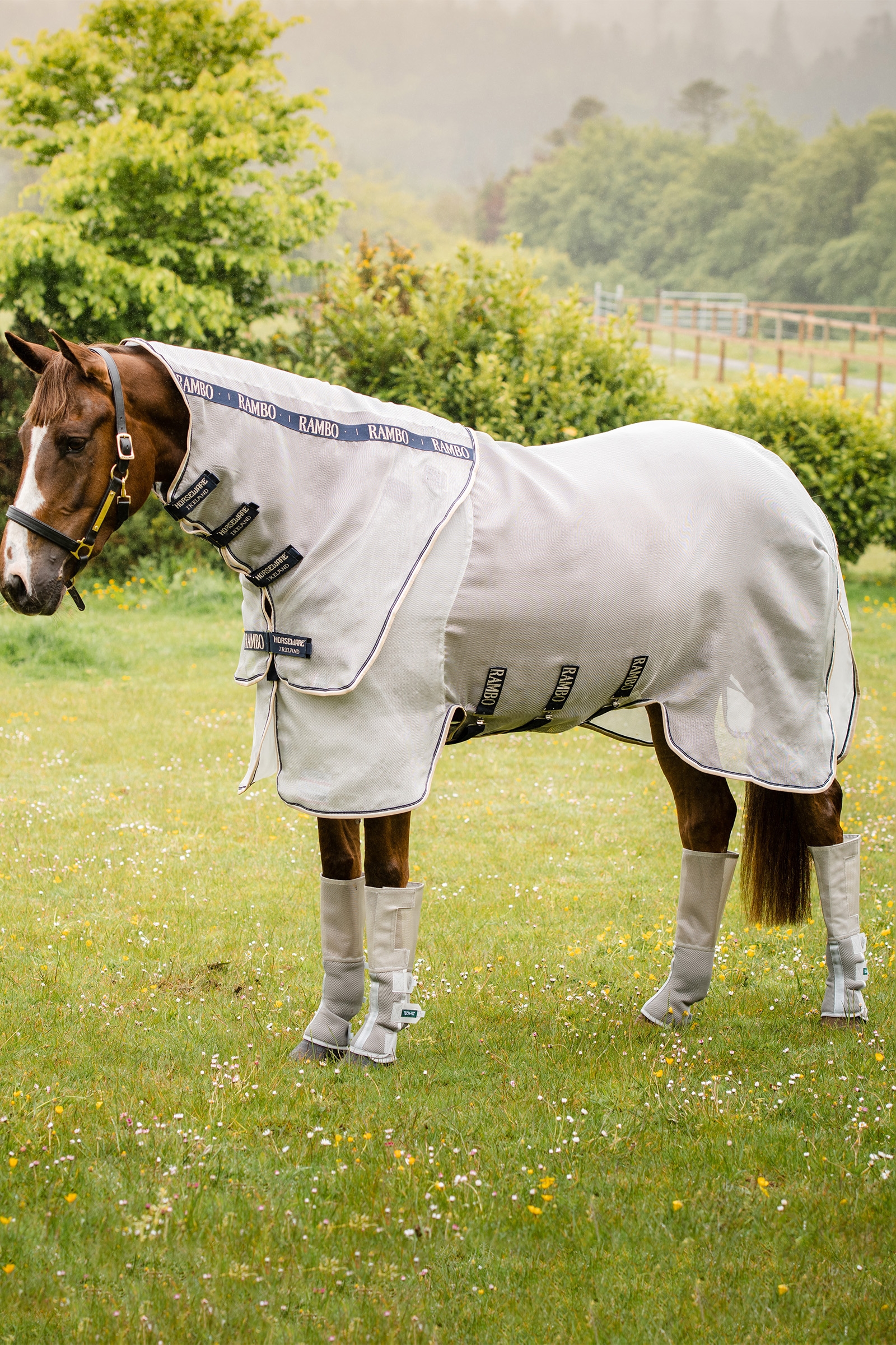 Horseware Rambo Tech-Fit Fluebeskytter (Sett med 4)