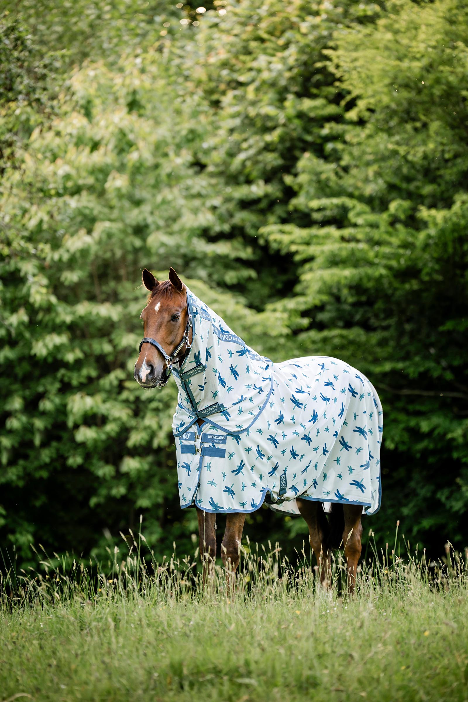 Dragonfly Print/Silver, Blue & Sage Horseware Amigo Fluedekken Plus