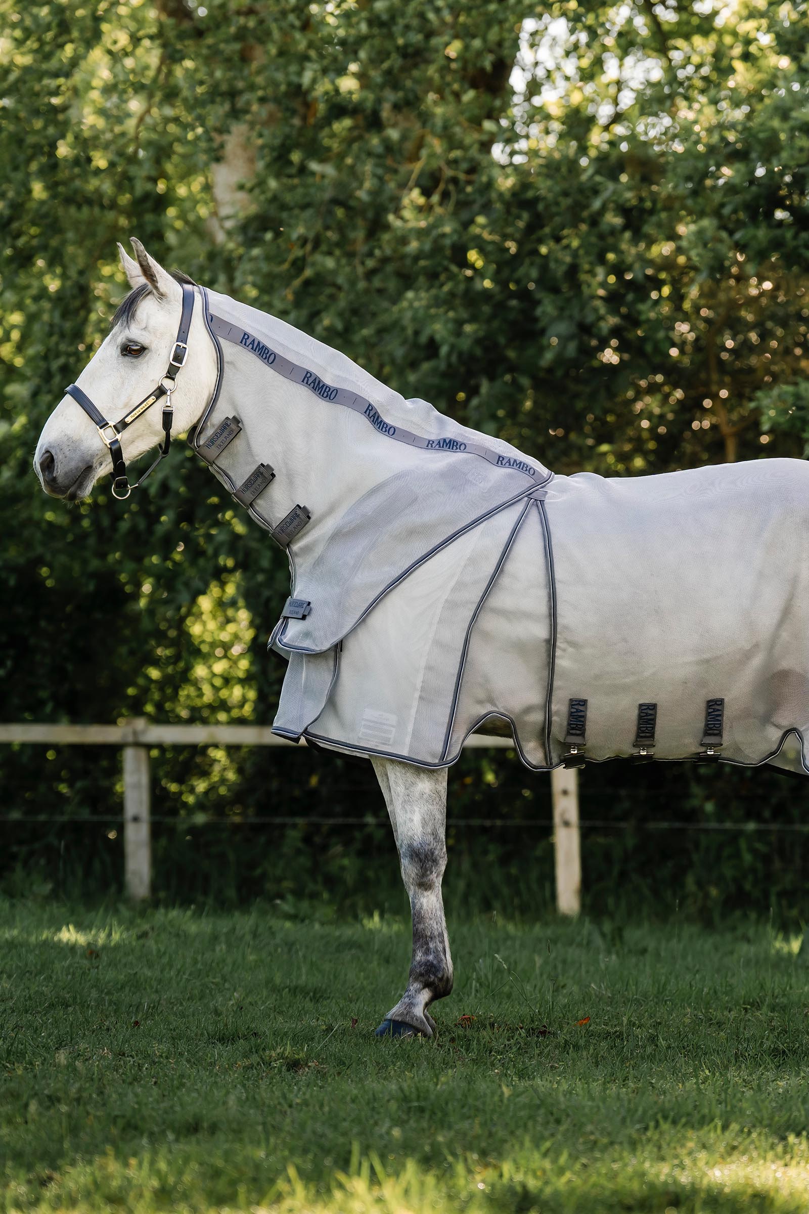 Horseware Rambo Optimo Protector Plus dekken