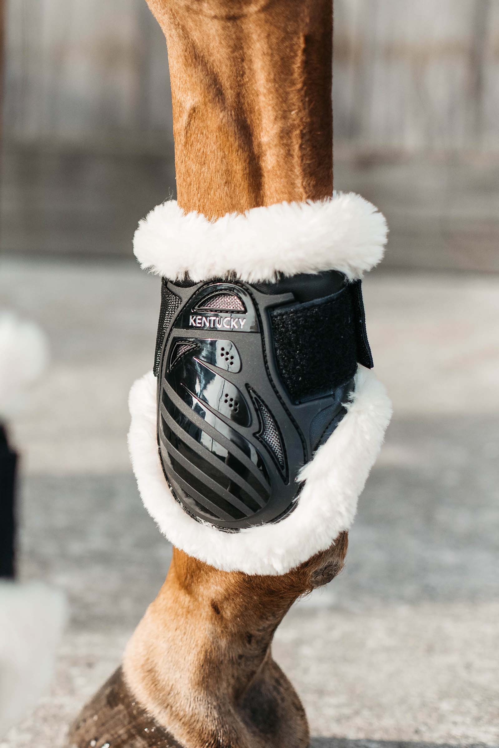 Kentucky Horsewear Vegan bakbeinsbelegg til unghest med saueskinn