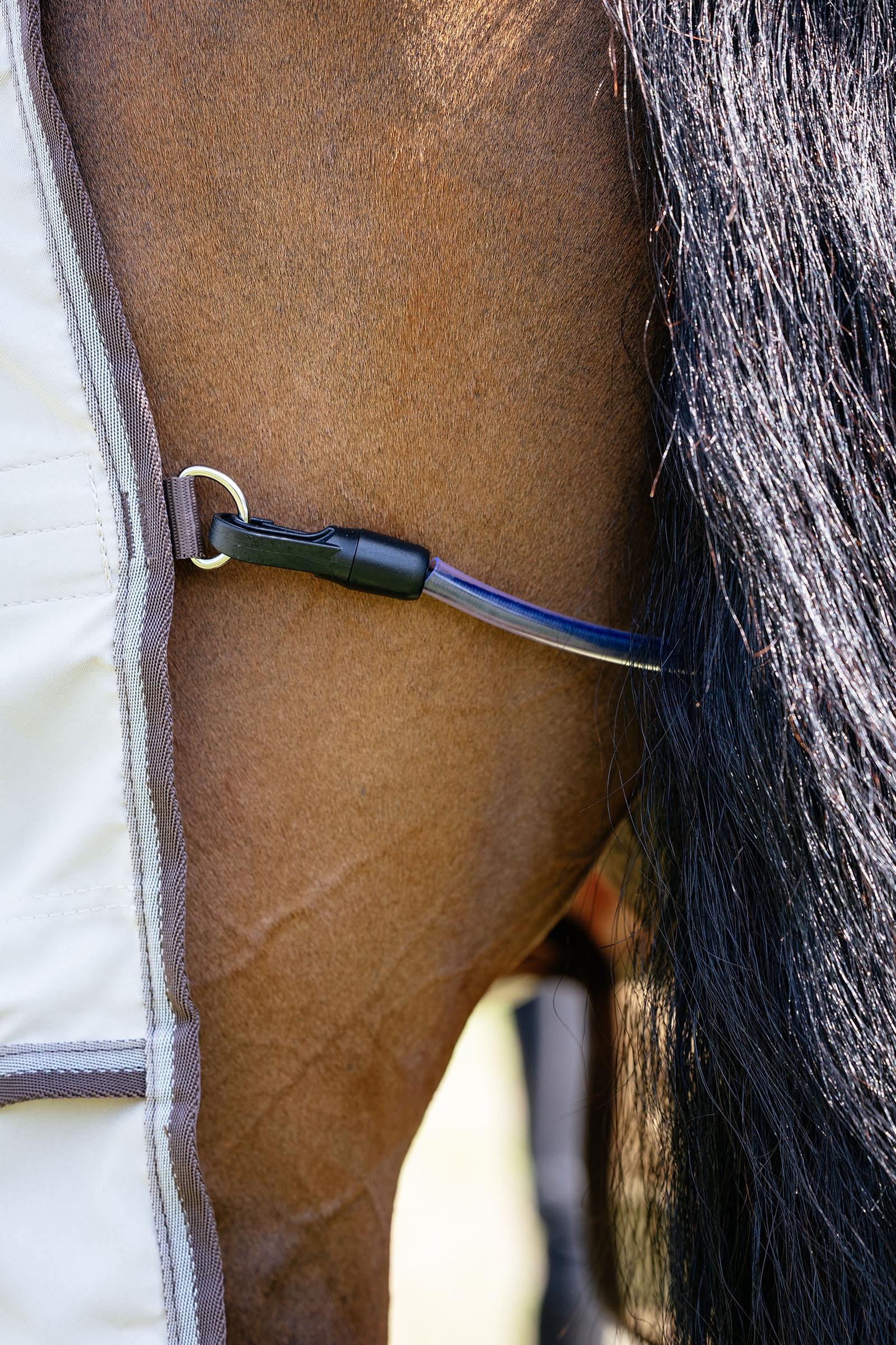 LeMieux Kudos Shower Pro eksemdekken med avtakbar halsdel