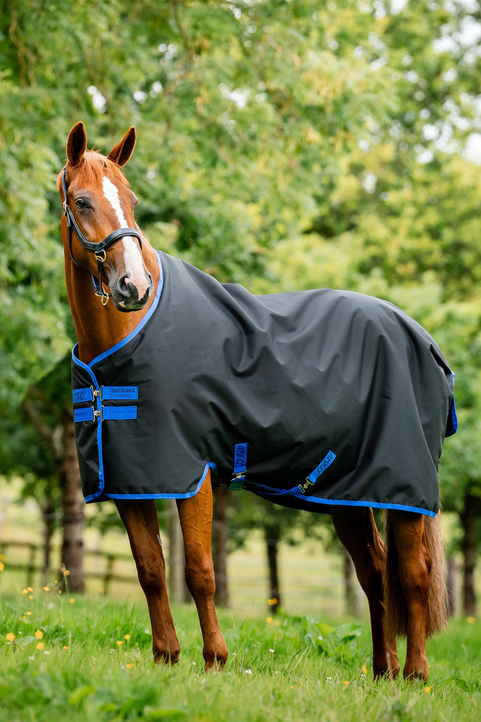 Black/Classic Blue Horseware Amigo Ripstop 900D utedekken med fleecef&ocirc;r, 50 g