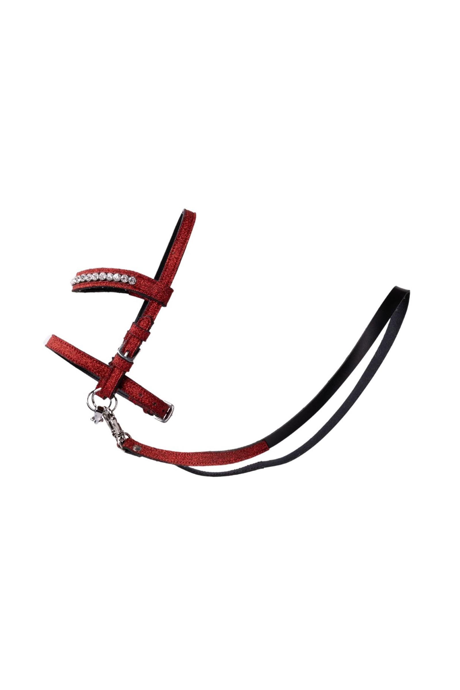 My Hobby Horse hodelag med glitter