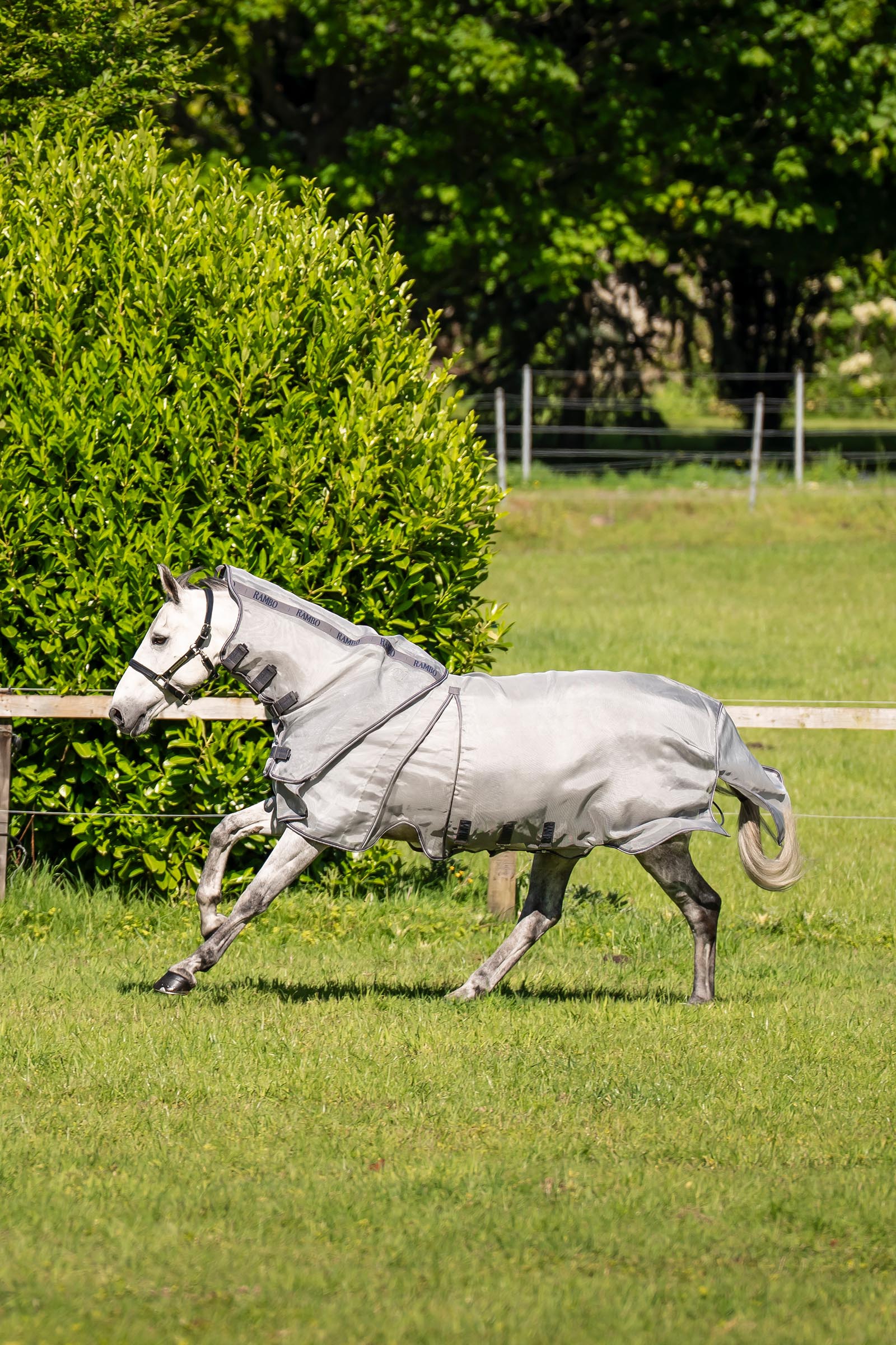 Horseware Rambo Optimo Protector Plus dekken