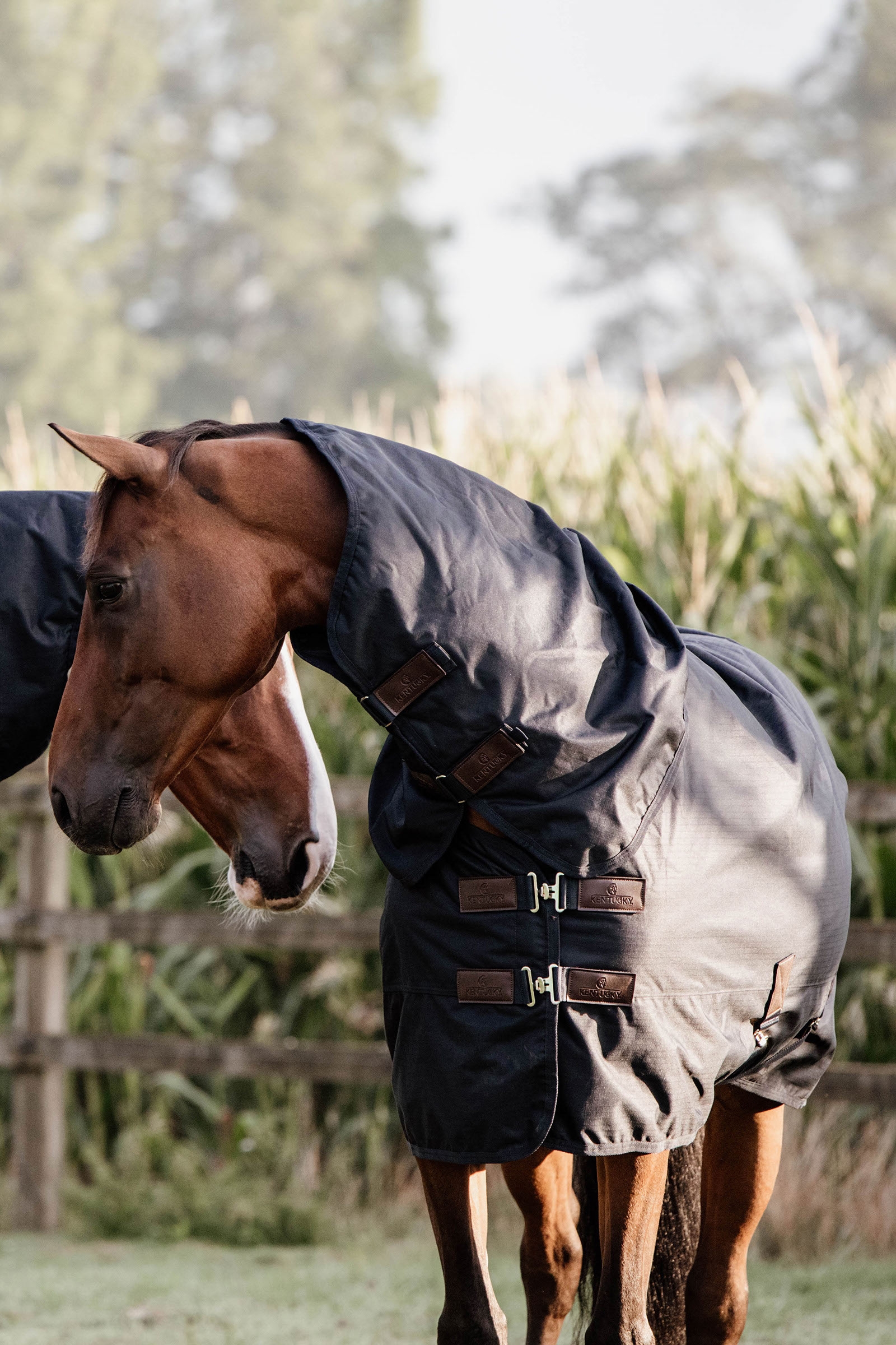 Kentucky Horsewear All Weather Classic utedekken, 150 gram