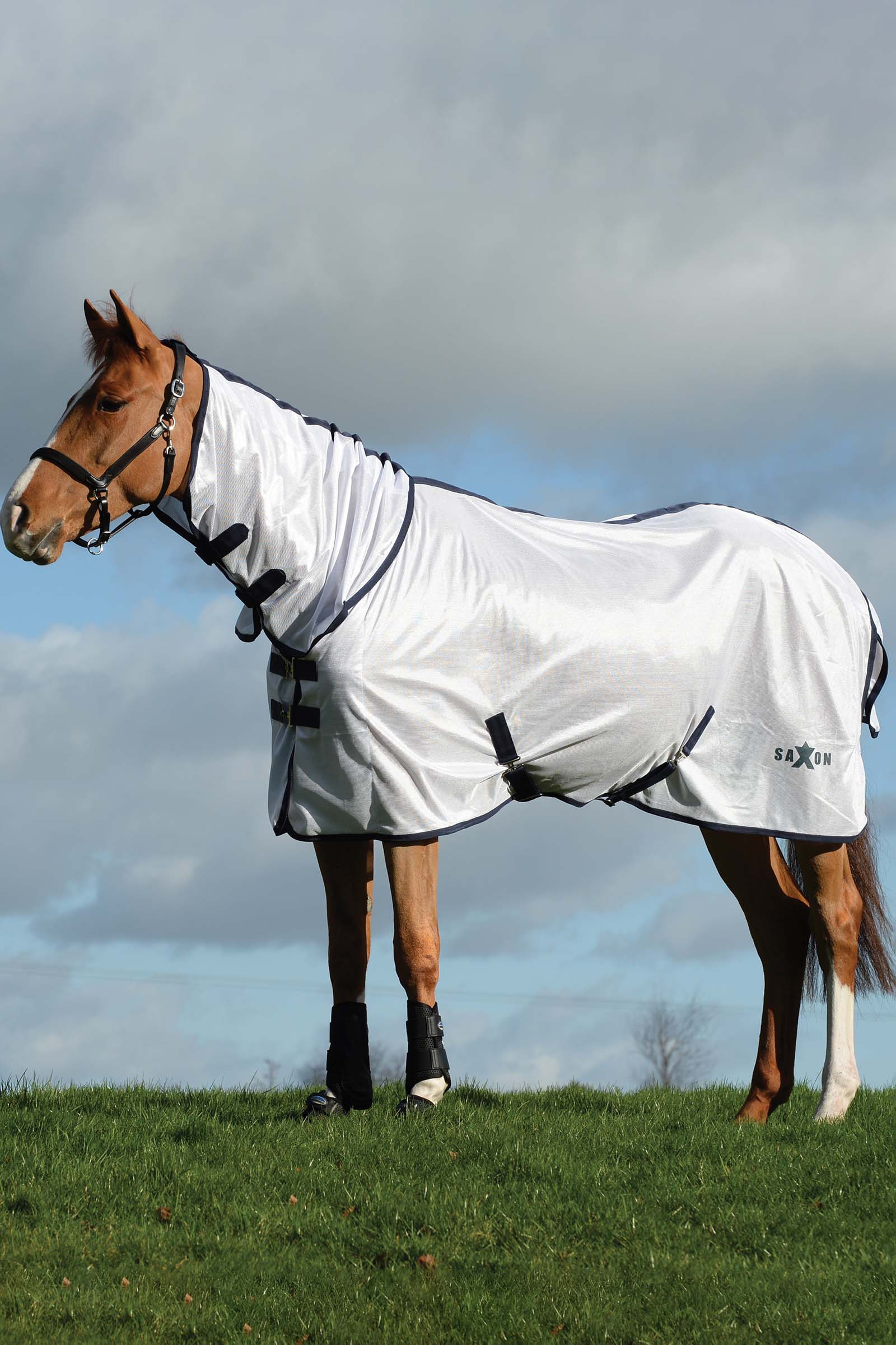 Saxon Mesh Combo dekken med hel hals