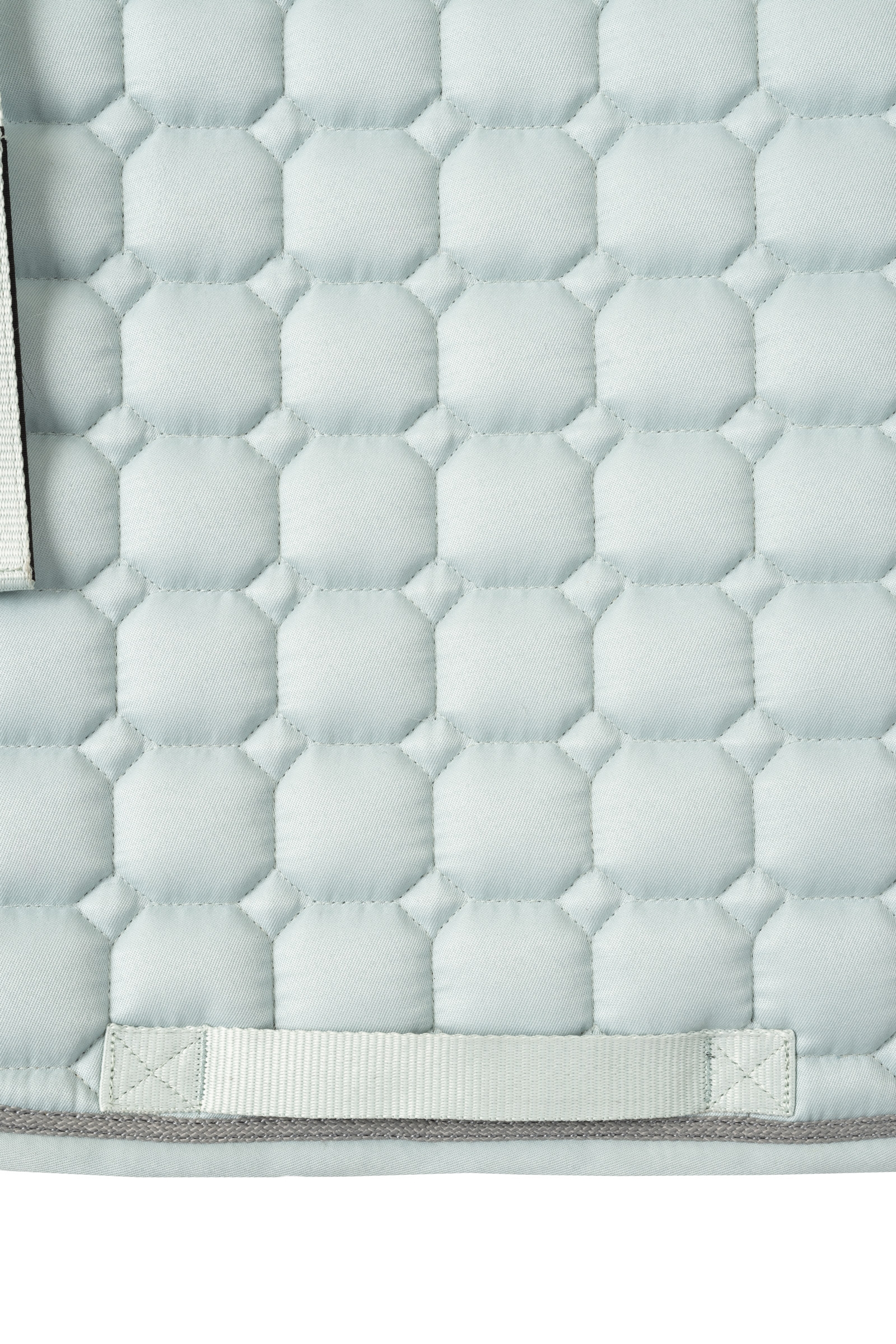 Horze Rose Tonique sprangsjabrak