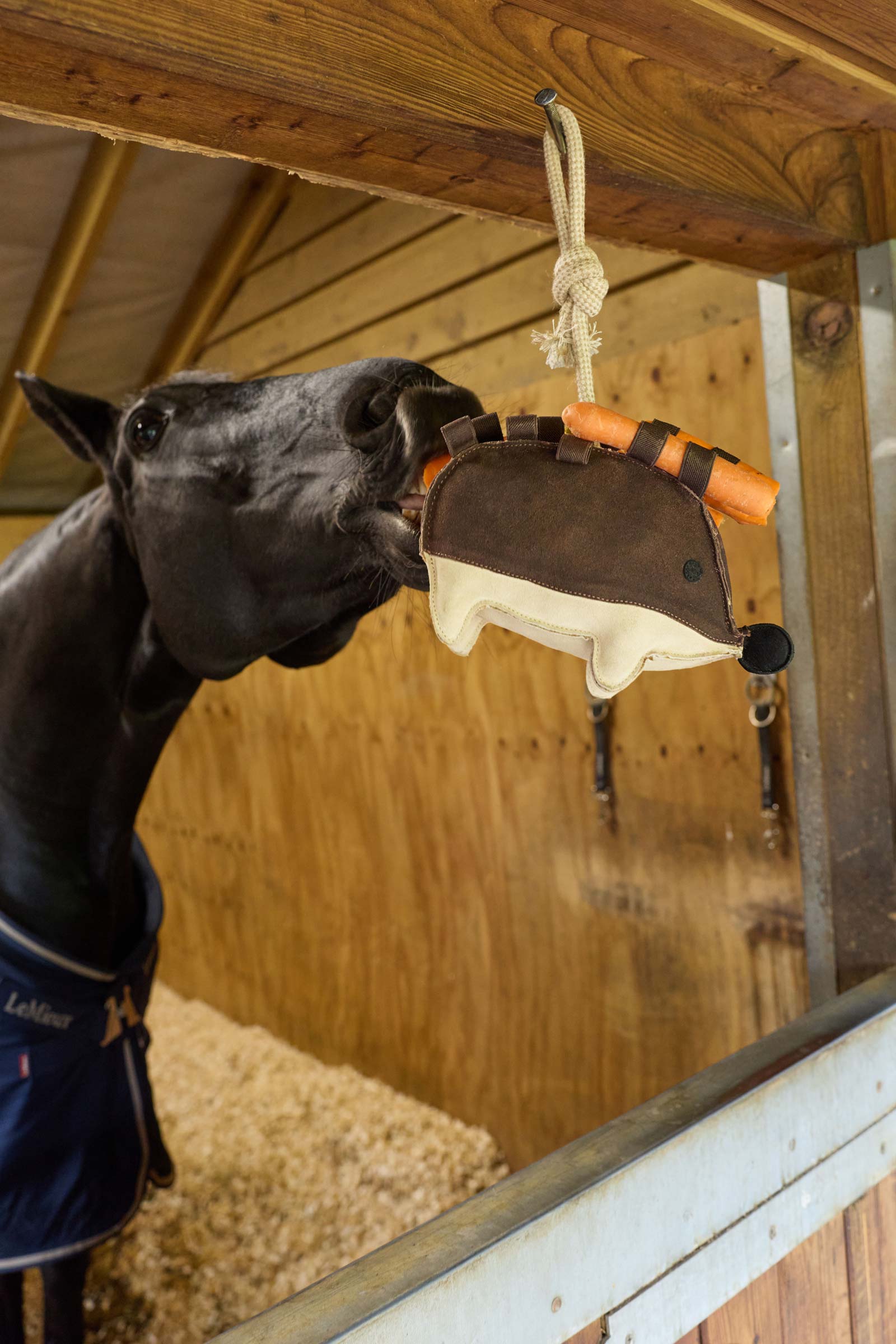 LeMieux Pinnsvin Hesteleke