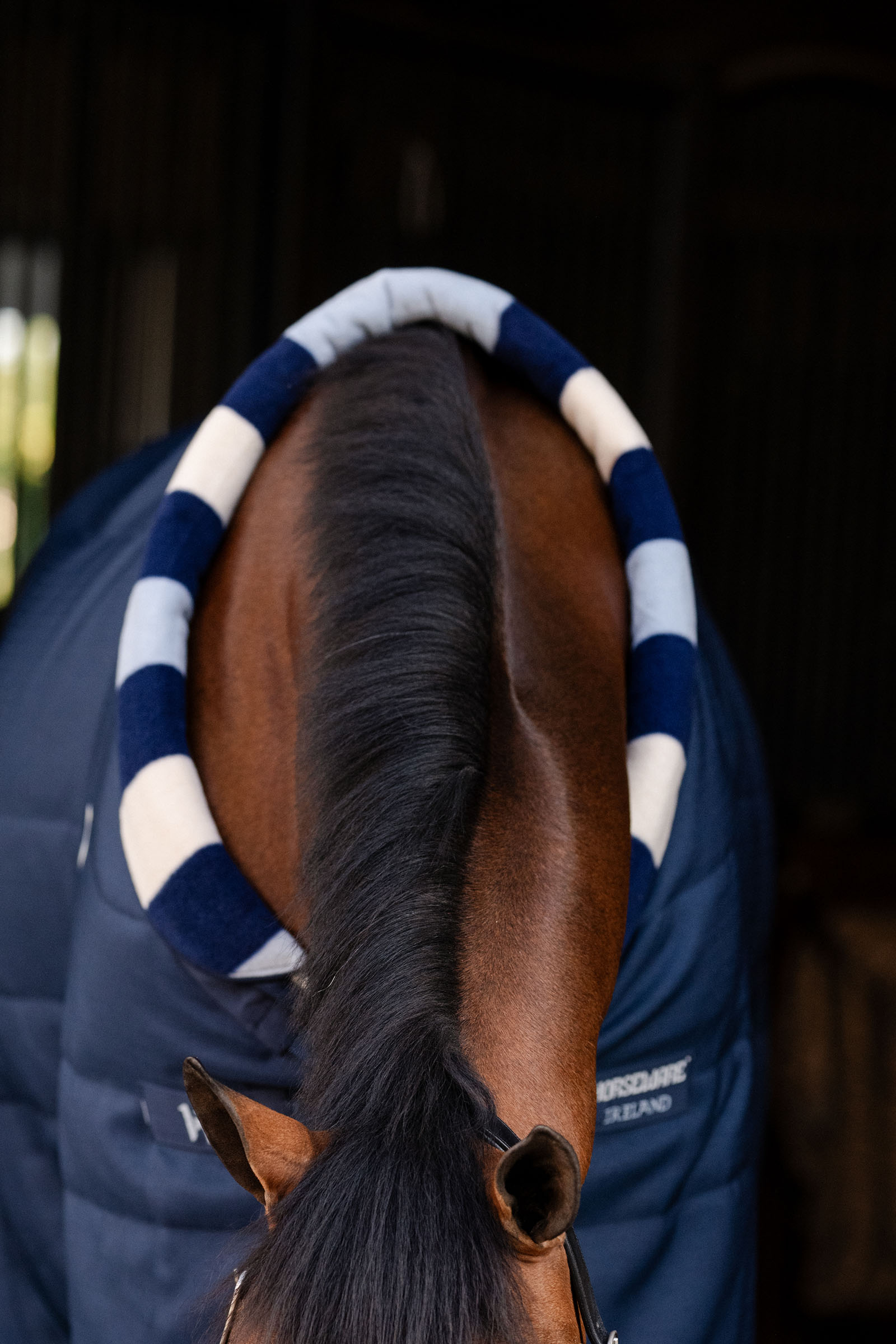 Horseware Newmarket Cosy Stalldekken 100g