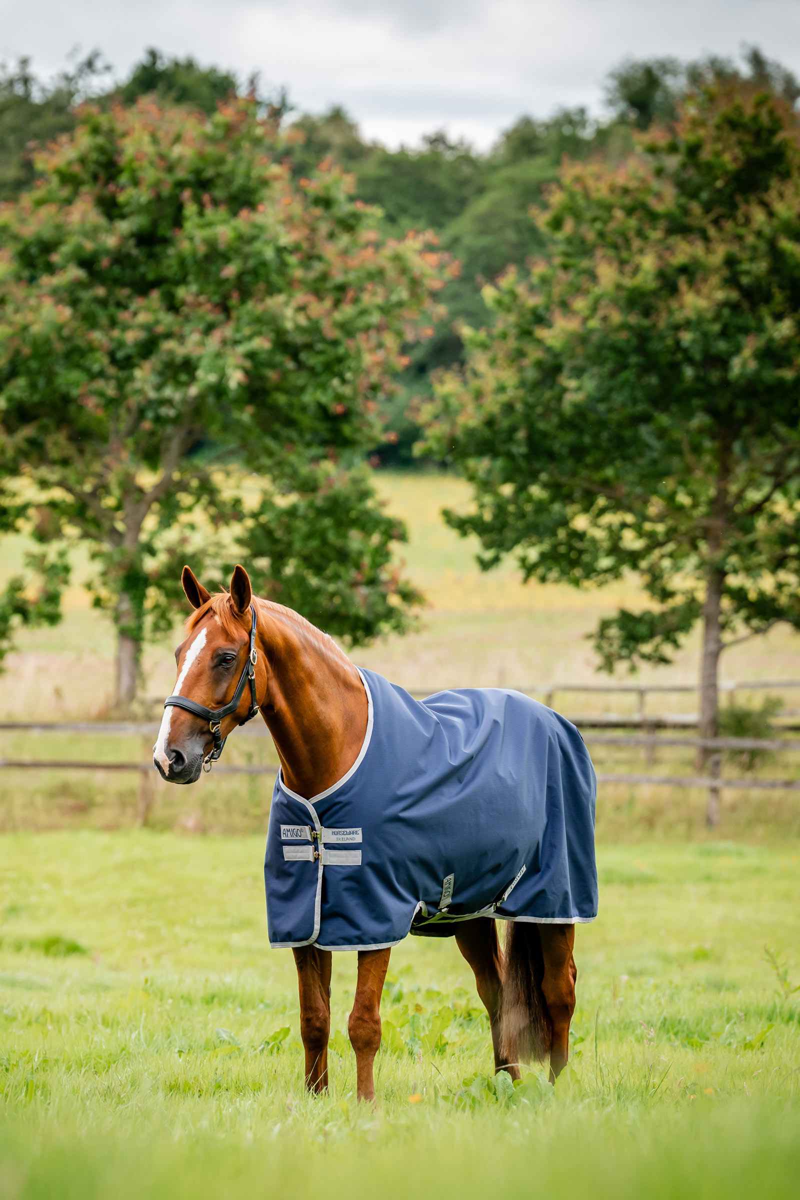 Witney Navy Horseware Amigo Ripstop Utedekken 900D, 0g