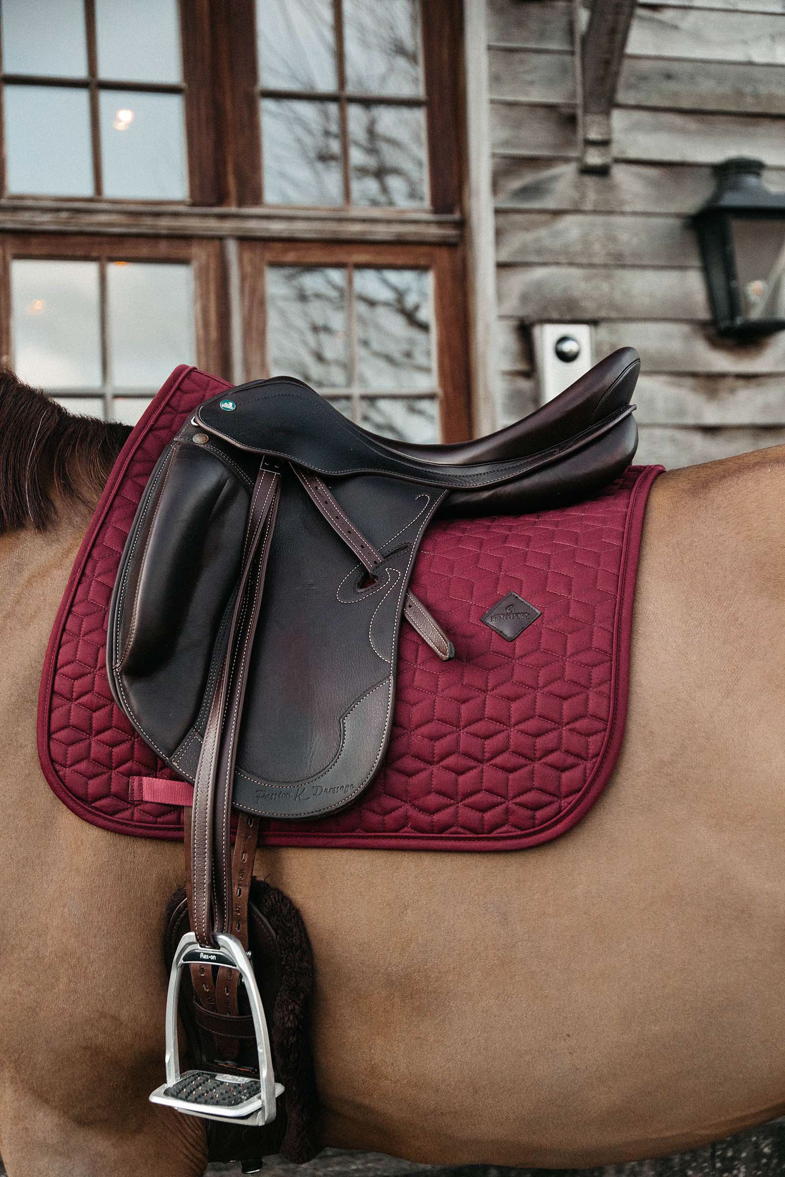 Dark Red Kentucky Horsewear Basic dressursjabrak