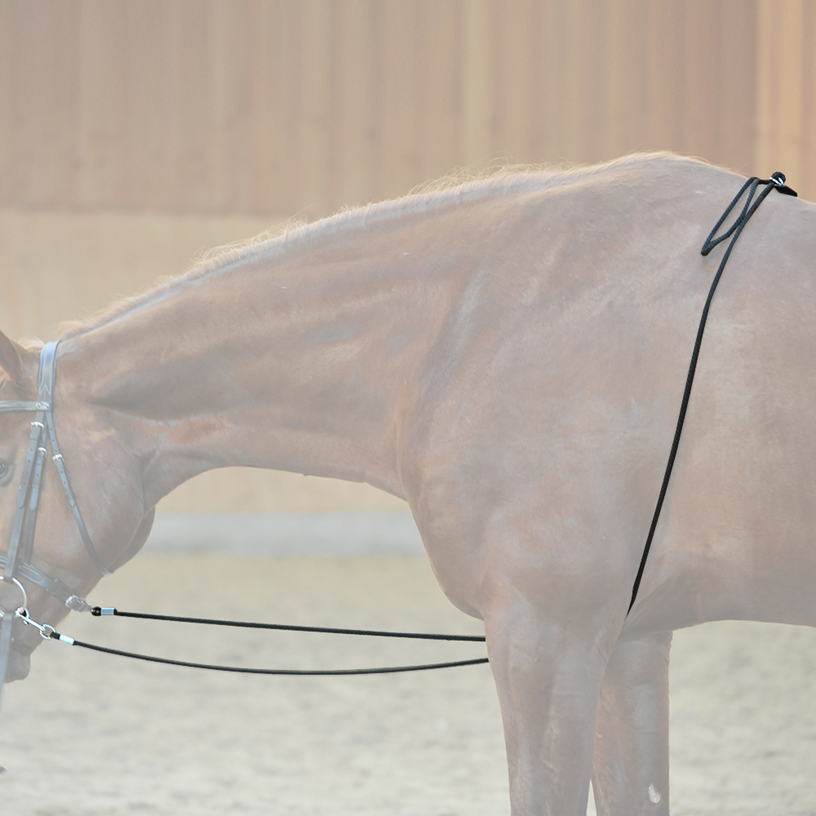 Kavalkade HO longesystem