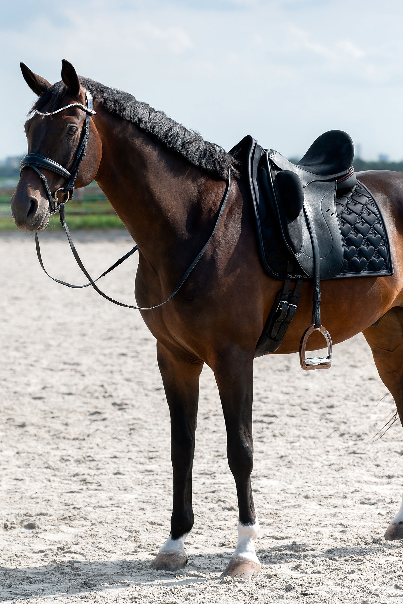 PS of Sweden Hjerte Dressursadelunderlag