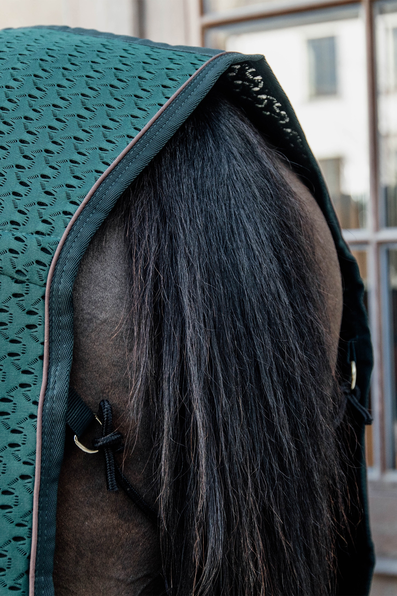 Kentucky Horsewear 4D Spacer cooler