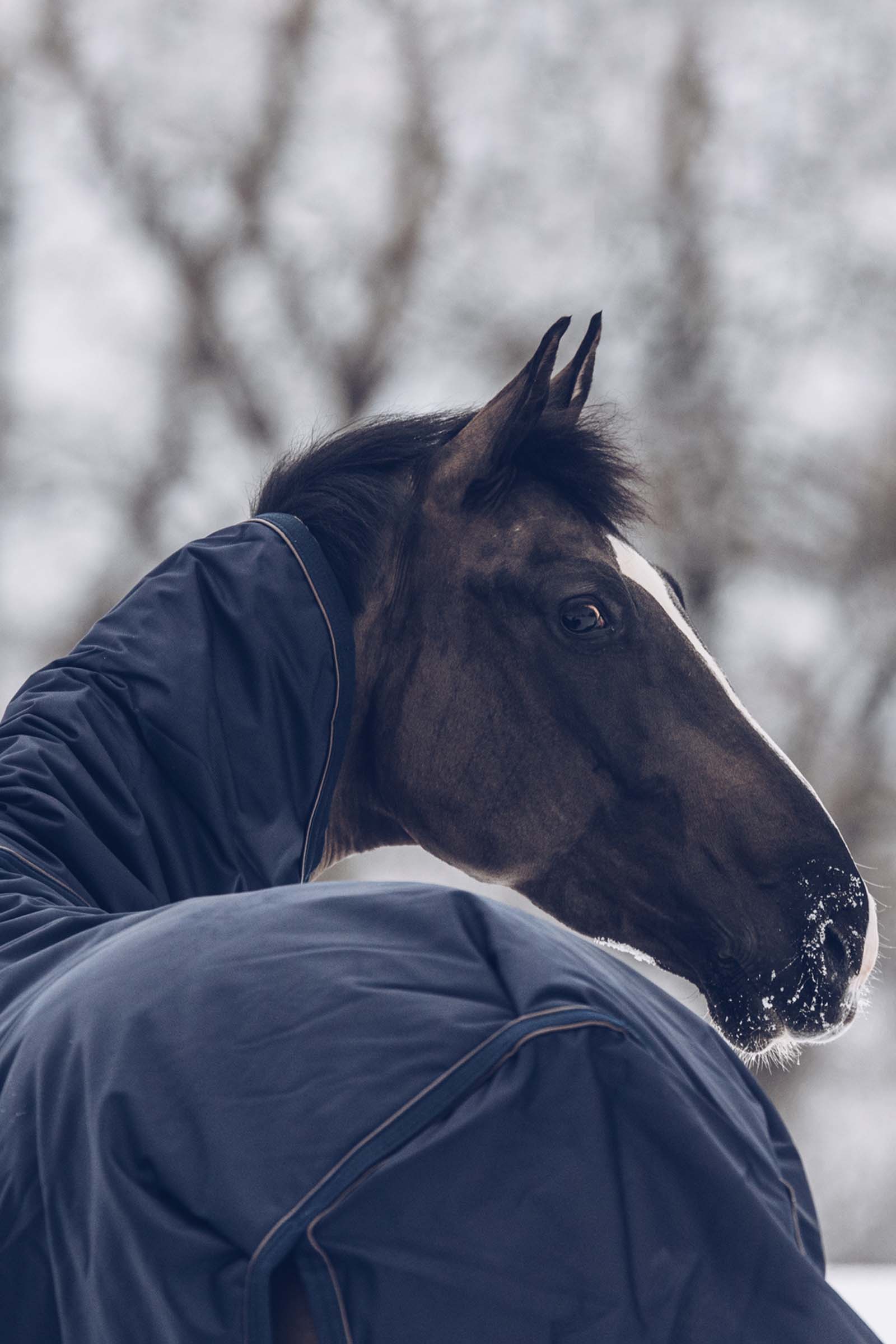 Kentucky Horsewear All Weather Classic utedekken, 300 gram