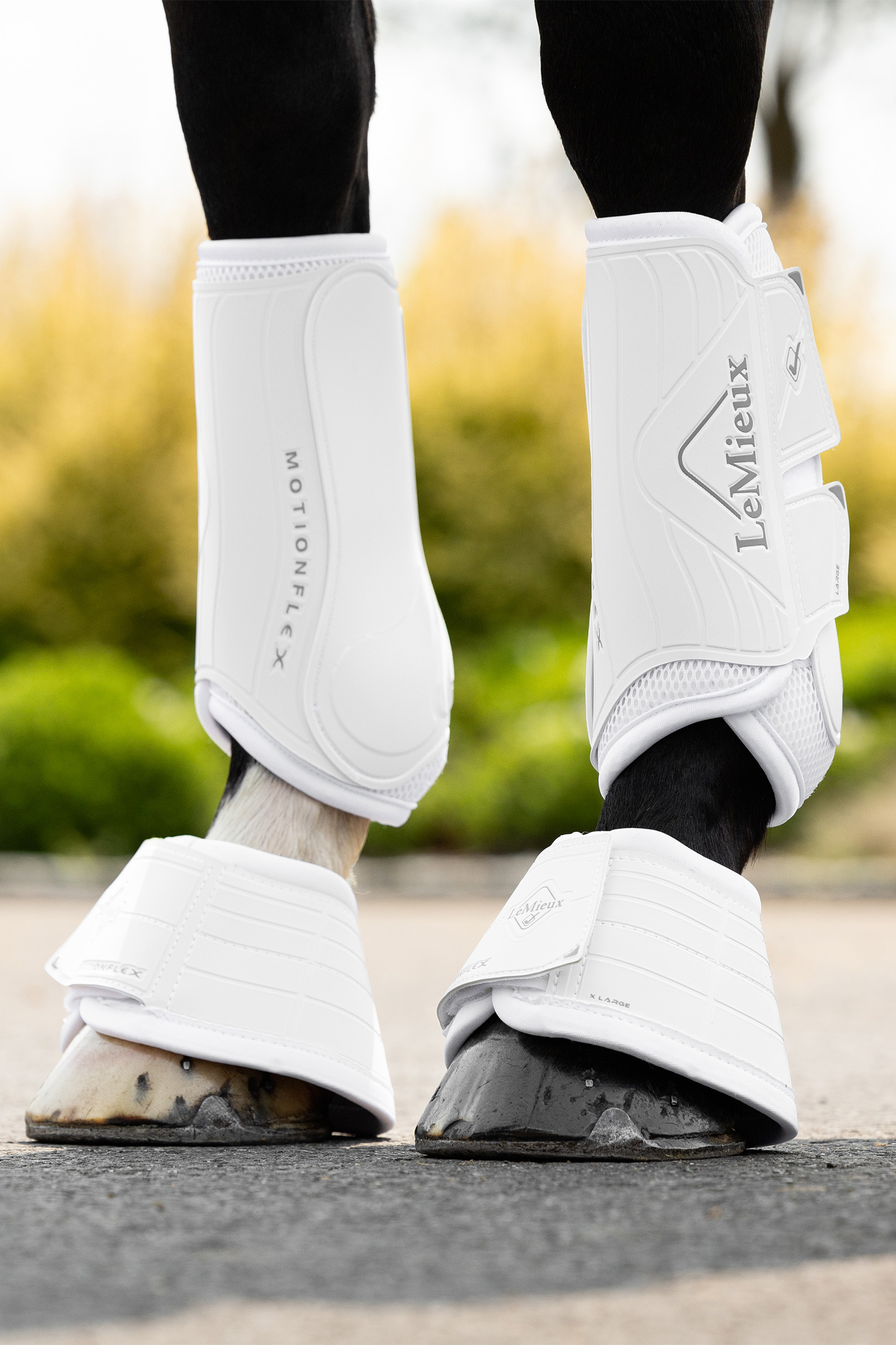 LeMieux Motionflex kopper