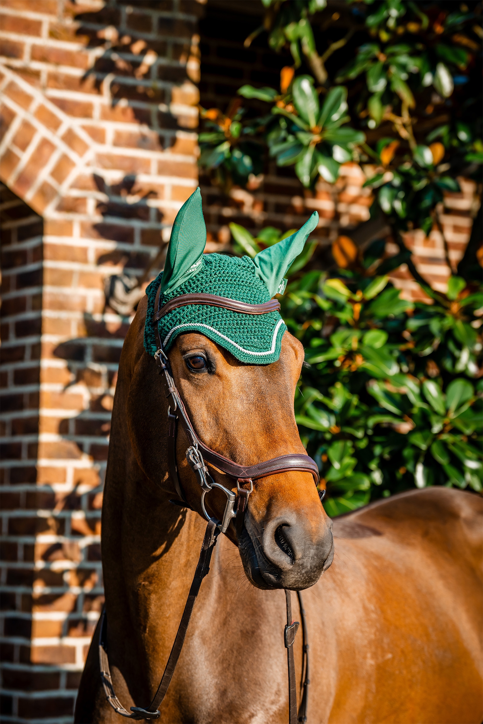Hunter Green Horseware Signature fluehette