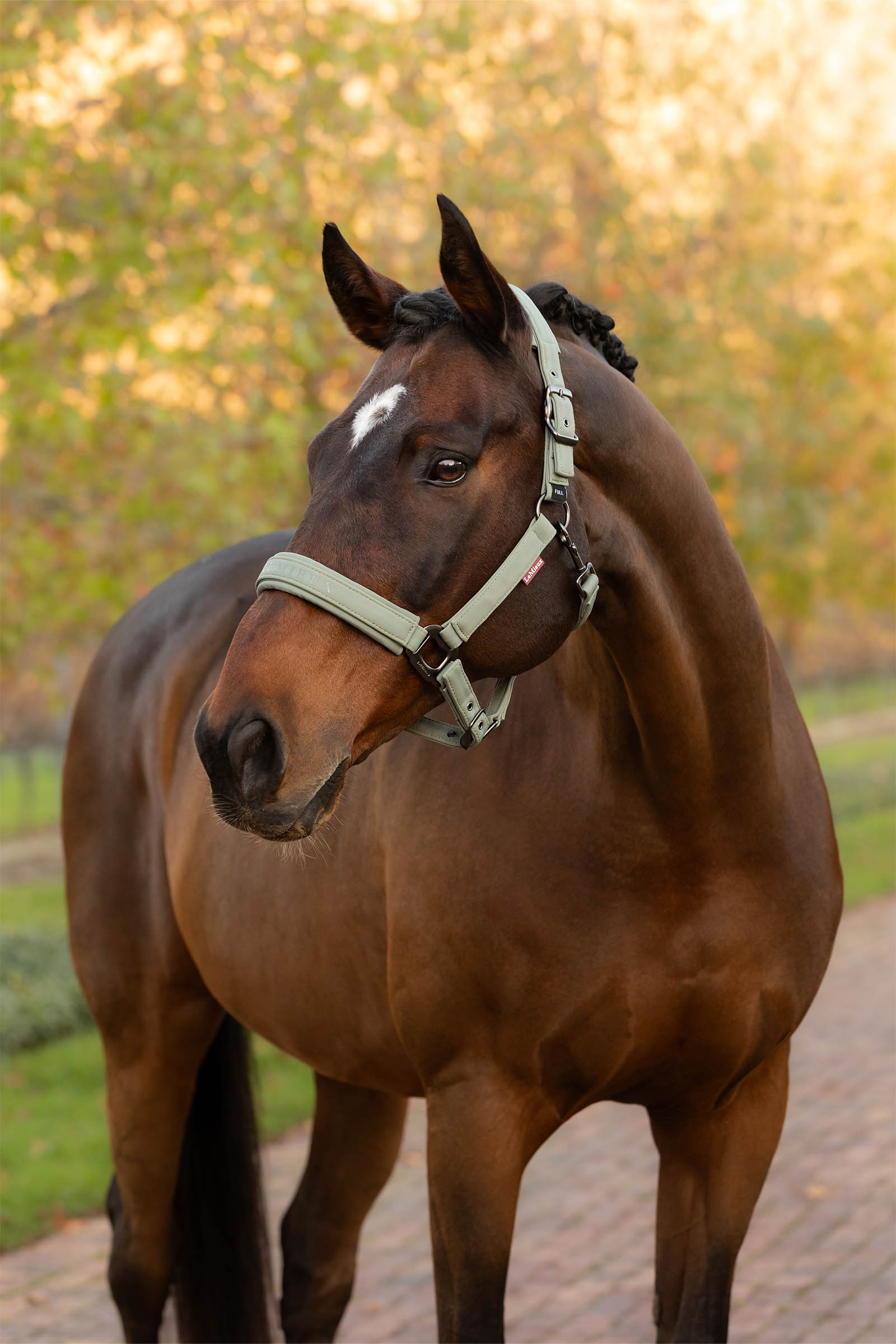 LeMieux Essence grime