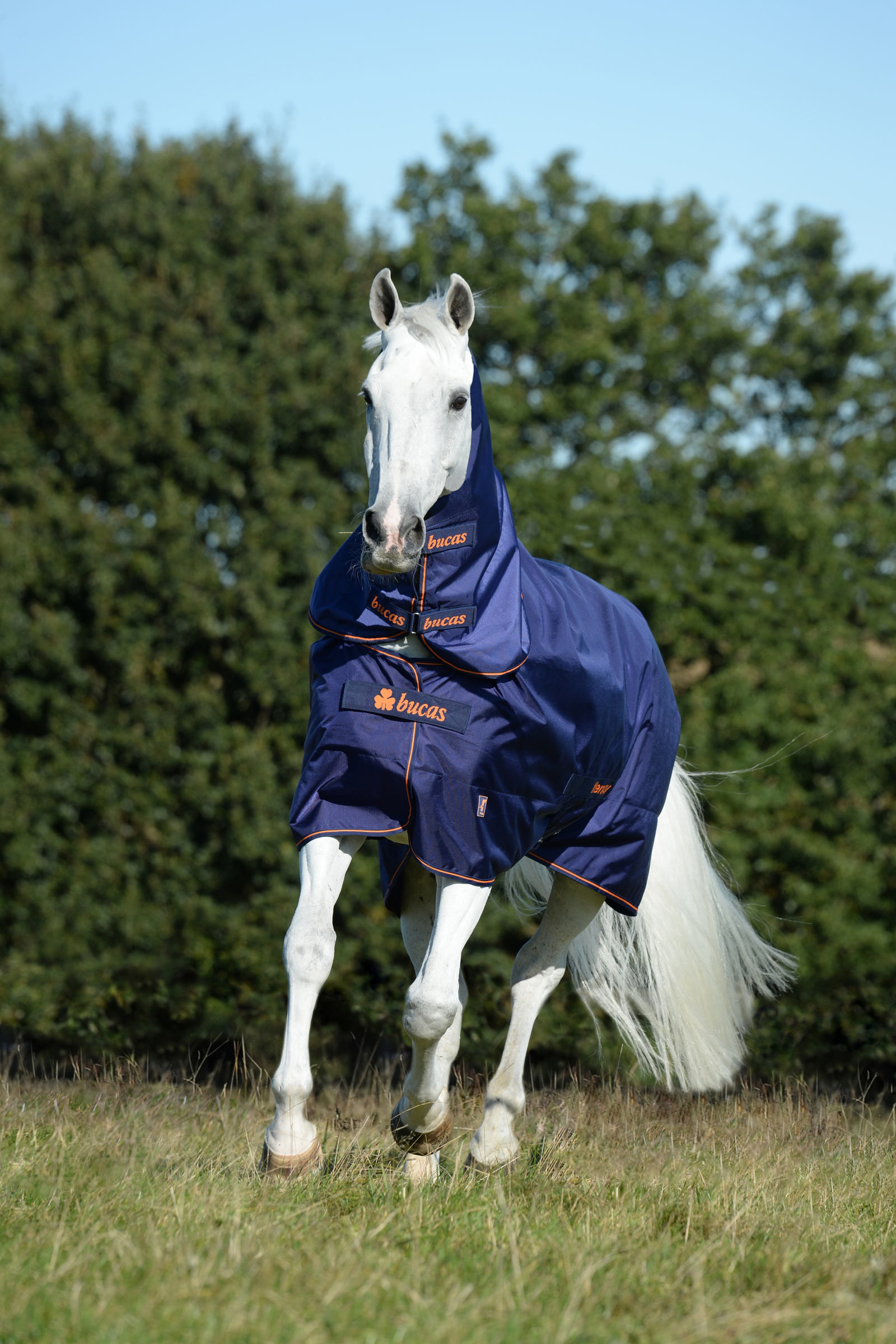 Bucas Therapy halsstykke