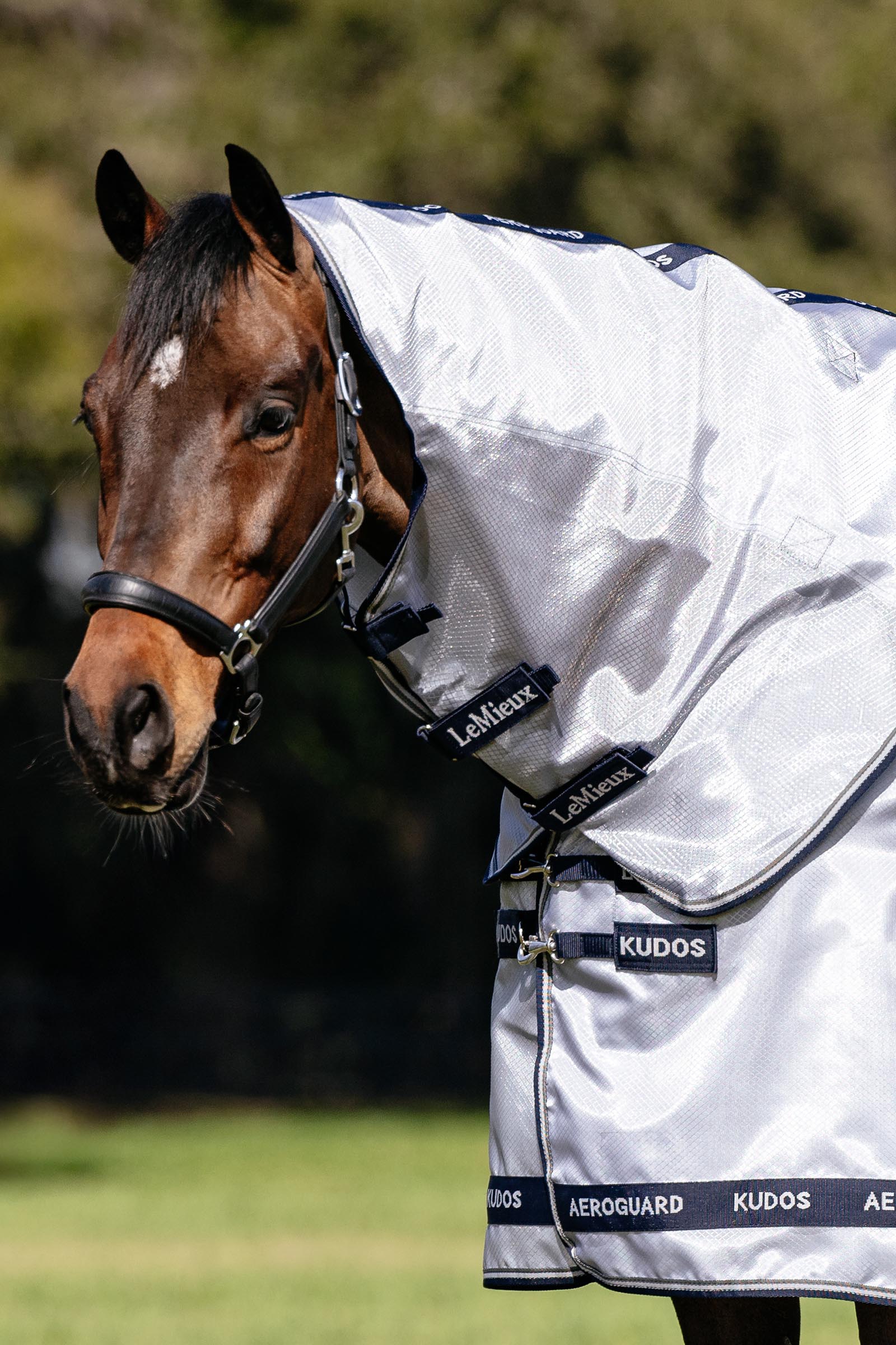 LeMieux Kudos AeroGuard fluedekken med avtakbar hals