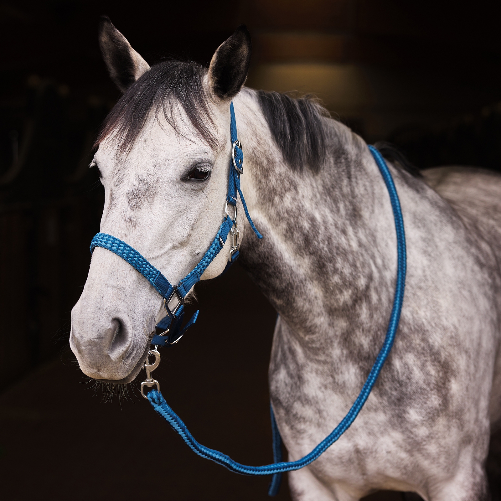 Horze Chicago grime og leietau, sett