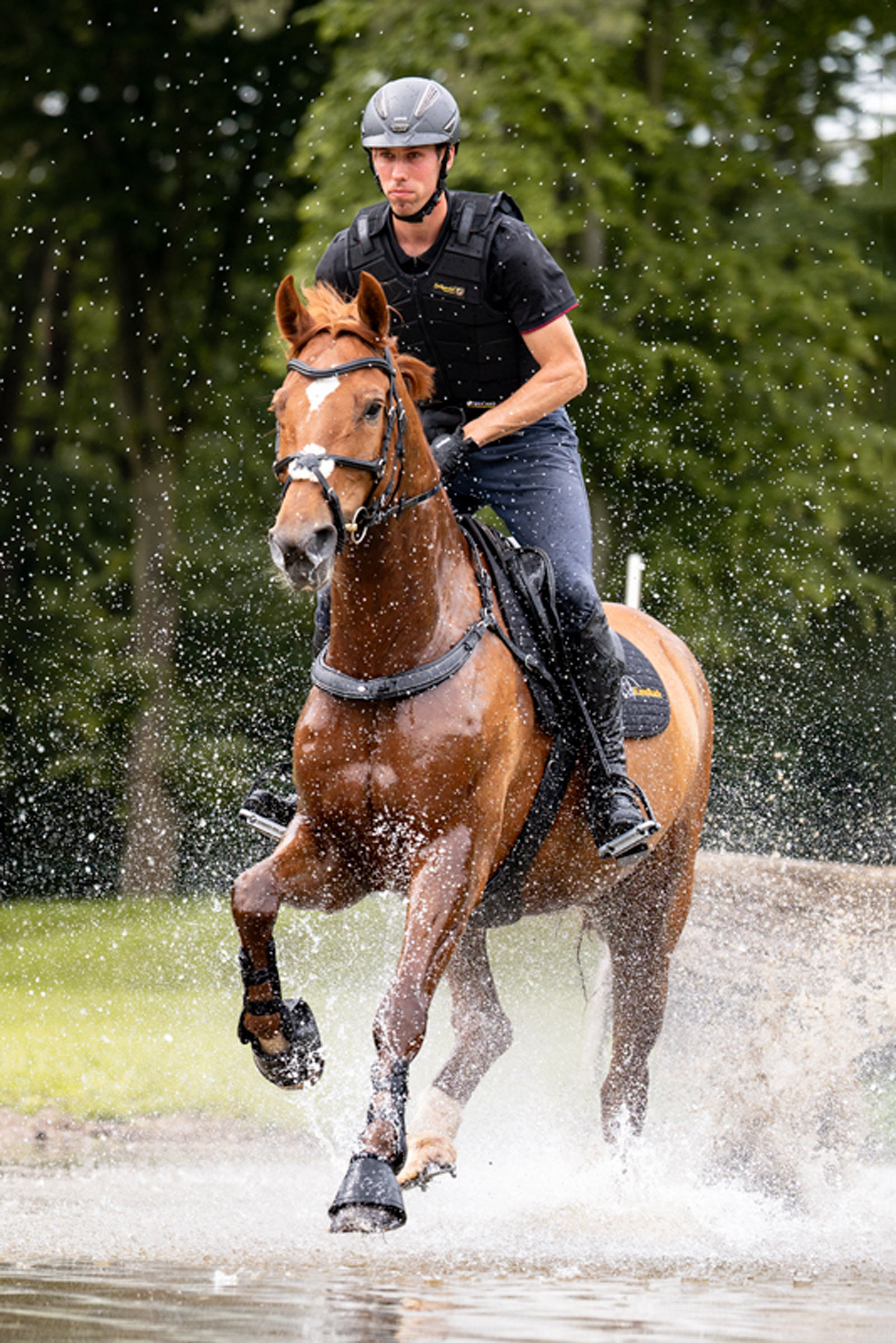 Kavalkade Jerome 2-punkts Brystplate