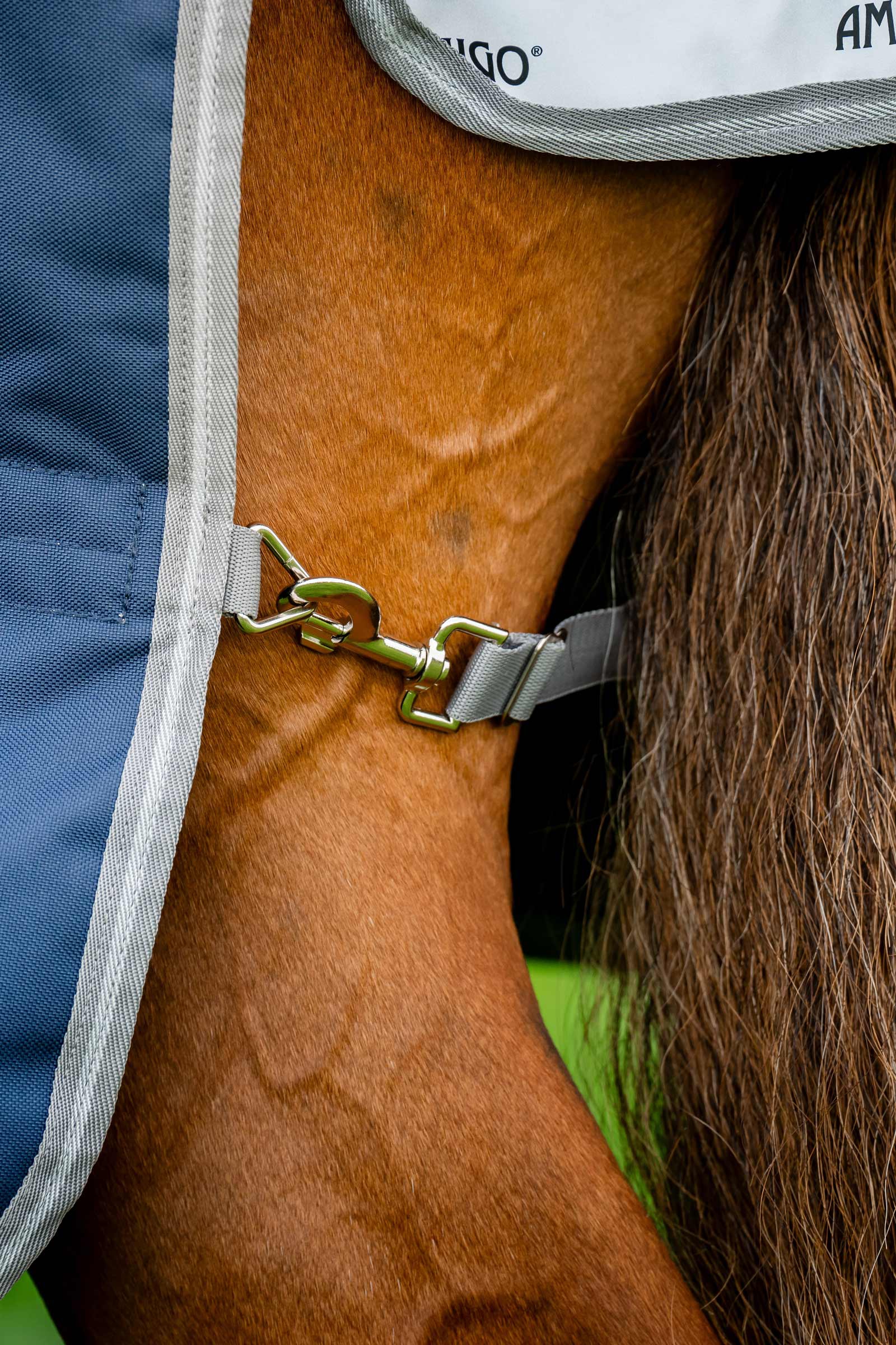 Horseware Amigo Bravo 12 Plus utedekken med avtakbar hals, 0g