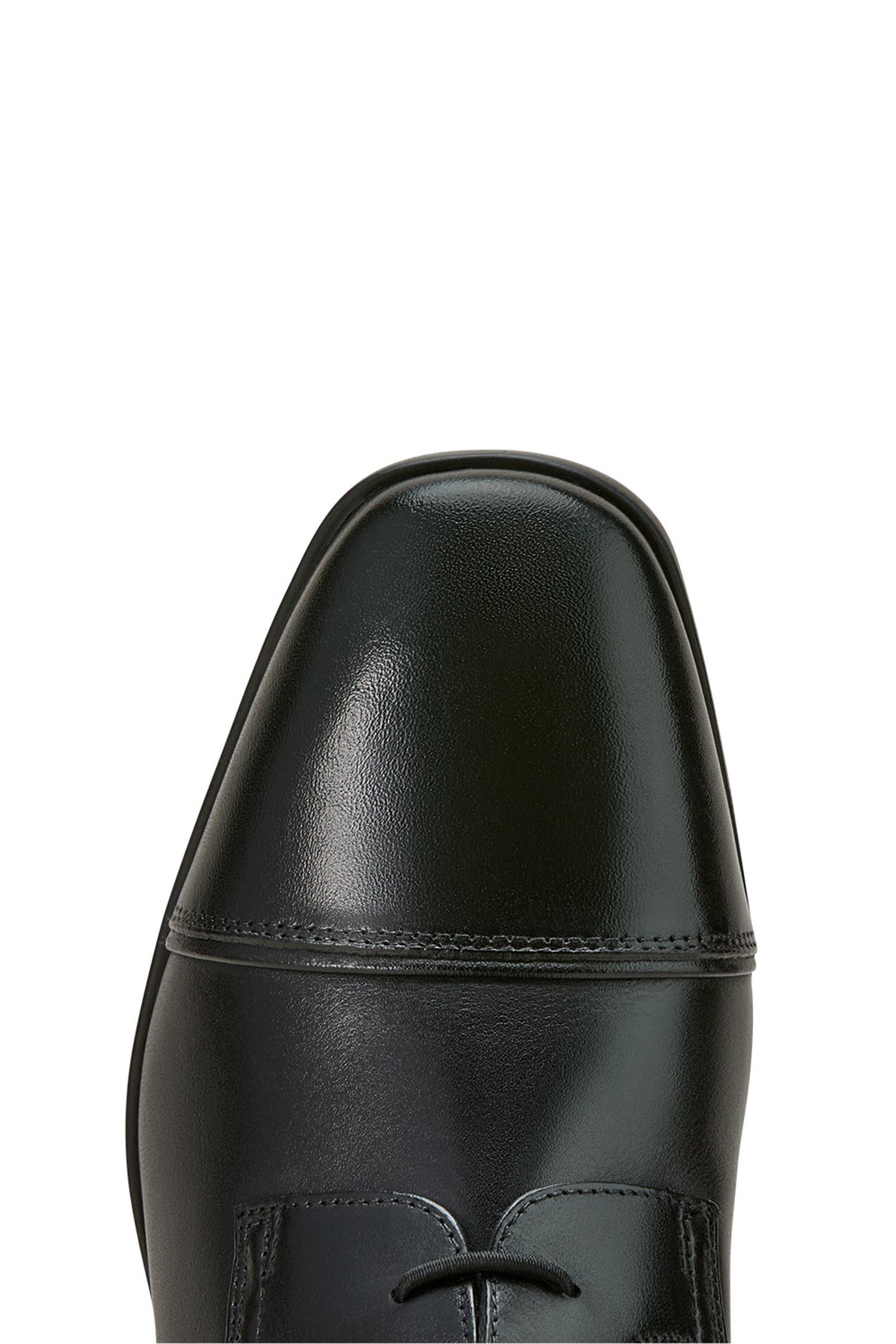 Ariat Palisade dame-ridestøvler  