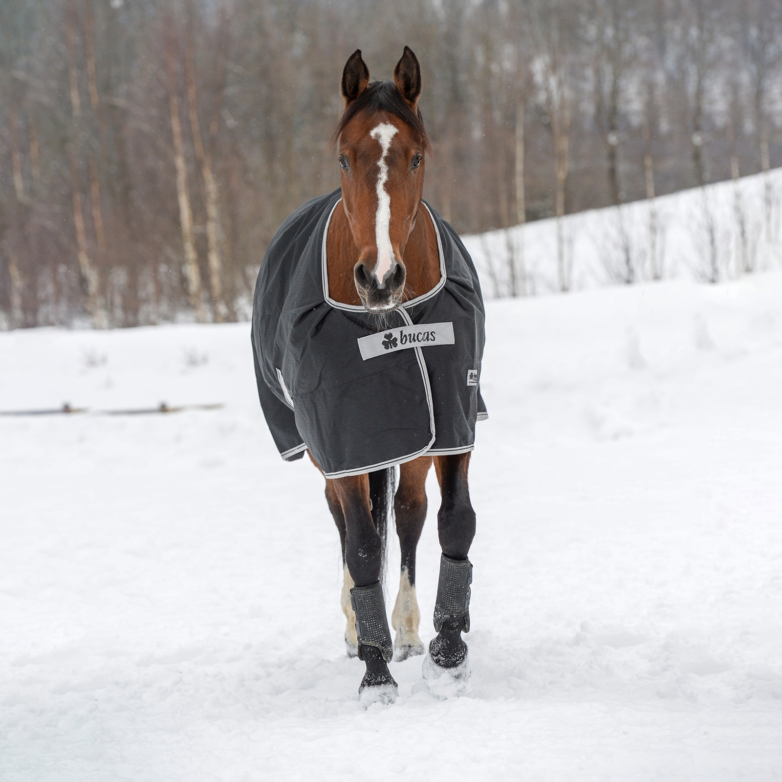 Bucas Anniversary Light SD utedekken, 150 gram