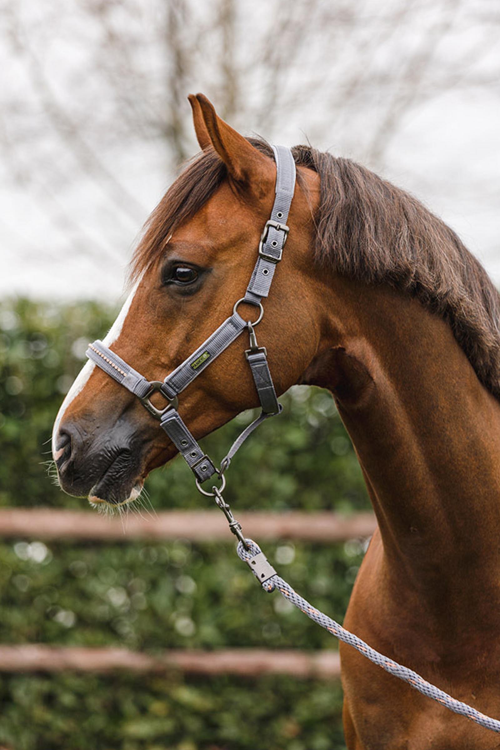 ANKY Stones Grime og Leietau Sett