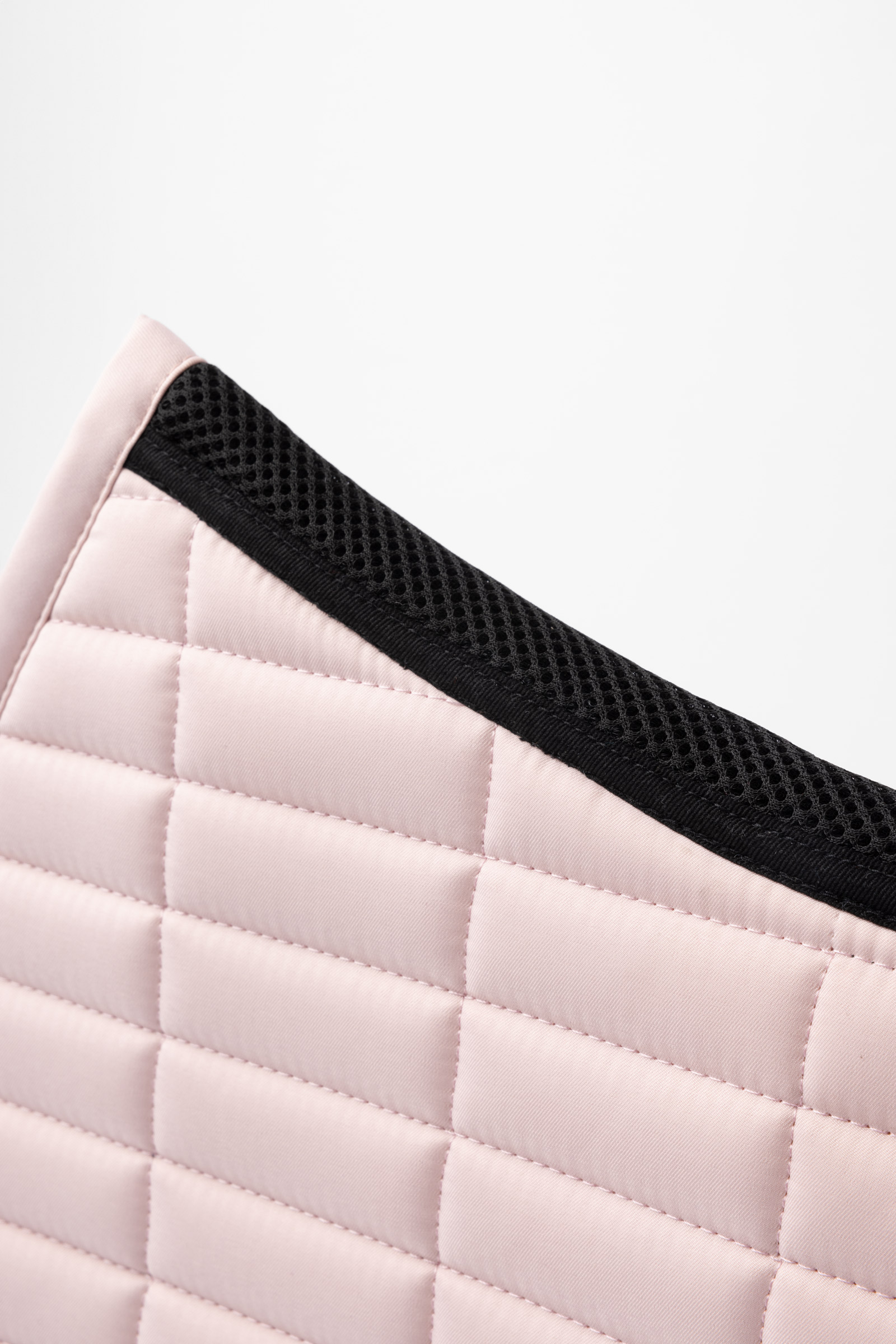 B Vertigo Daylight dressursjabrak