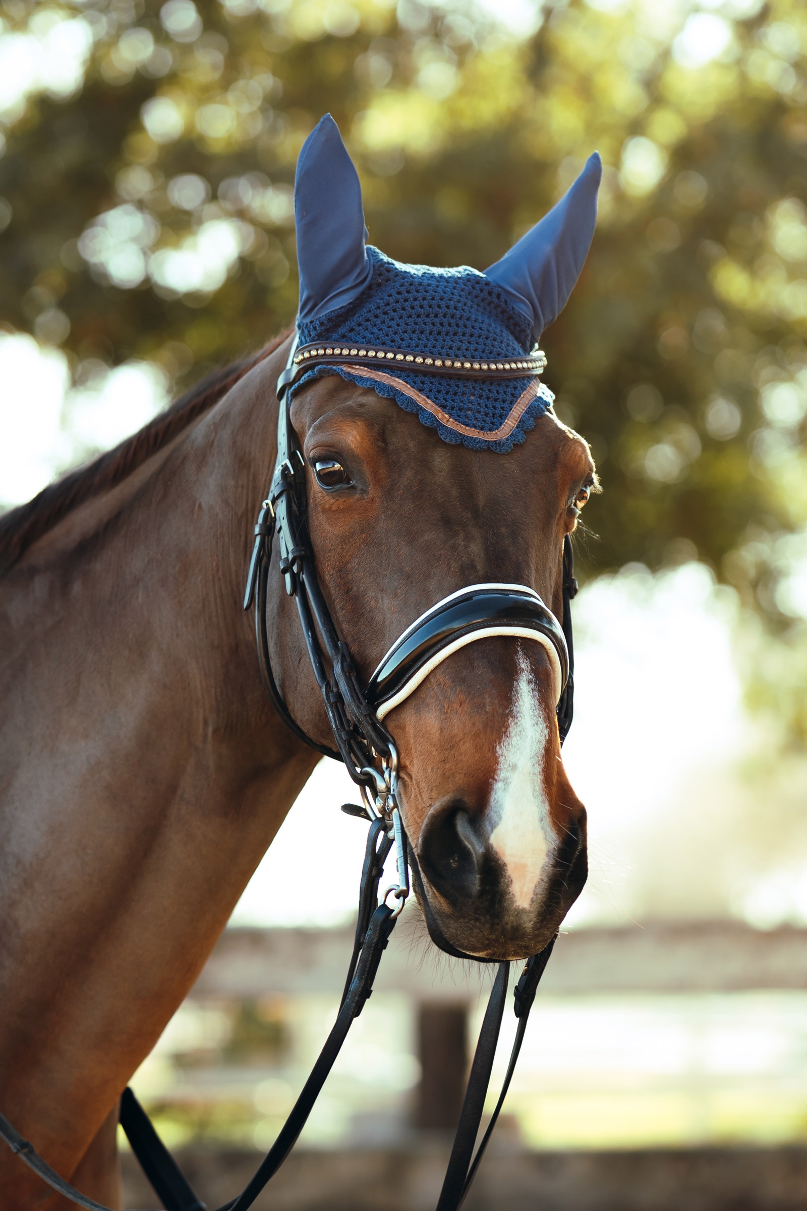 Horze Munich ørehette med metalliske detaljer