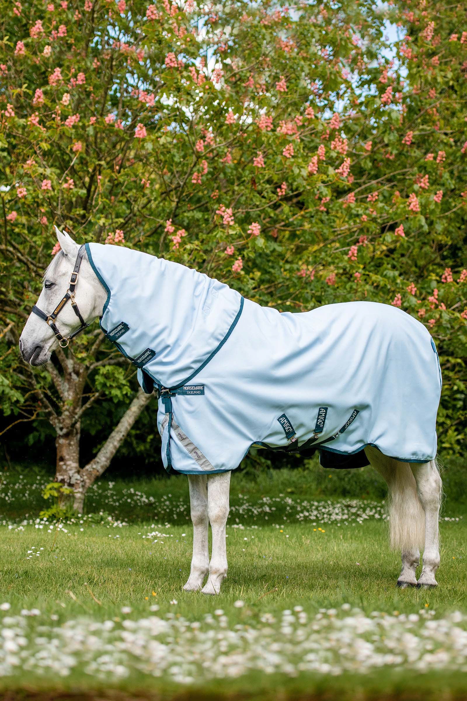 Horseware Amigo Plant Dye utedekken, 50 gram