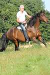 F.R.A. Freedom Riding Articles Free barbakpad, full