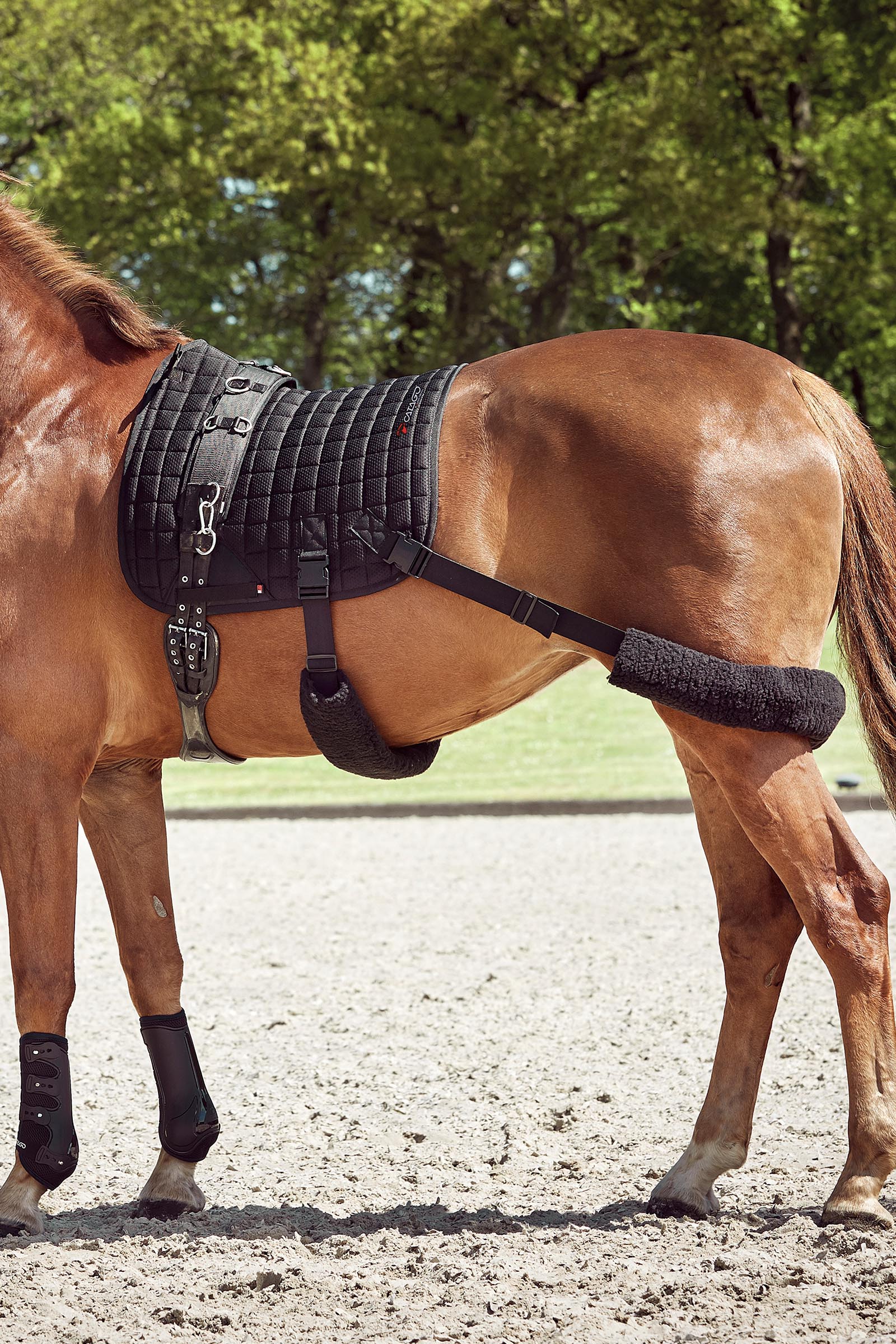 Catago FIR-Tech treningssjabrak med elastiske stropper