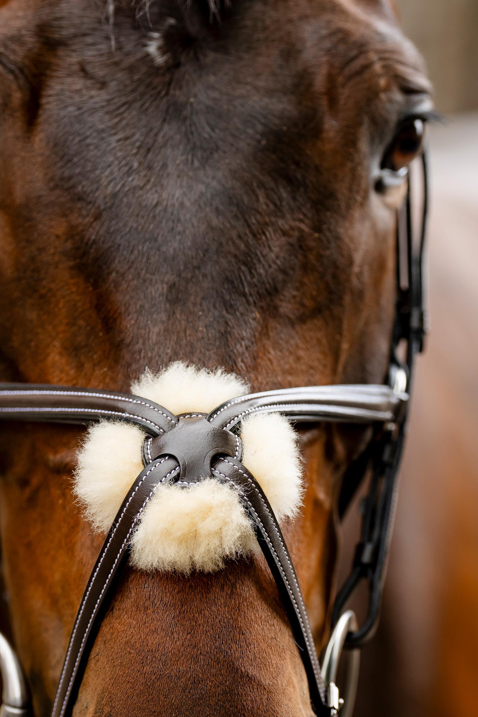 Horseware trinse med &aring;ttetallsnesereim