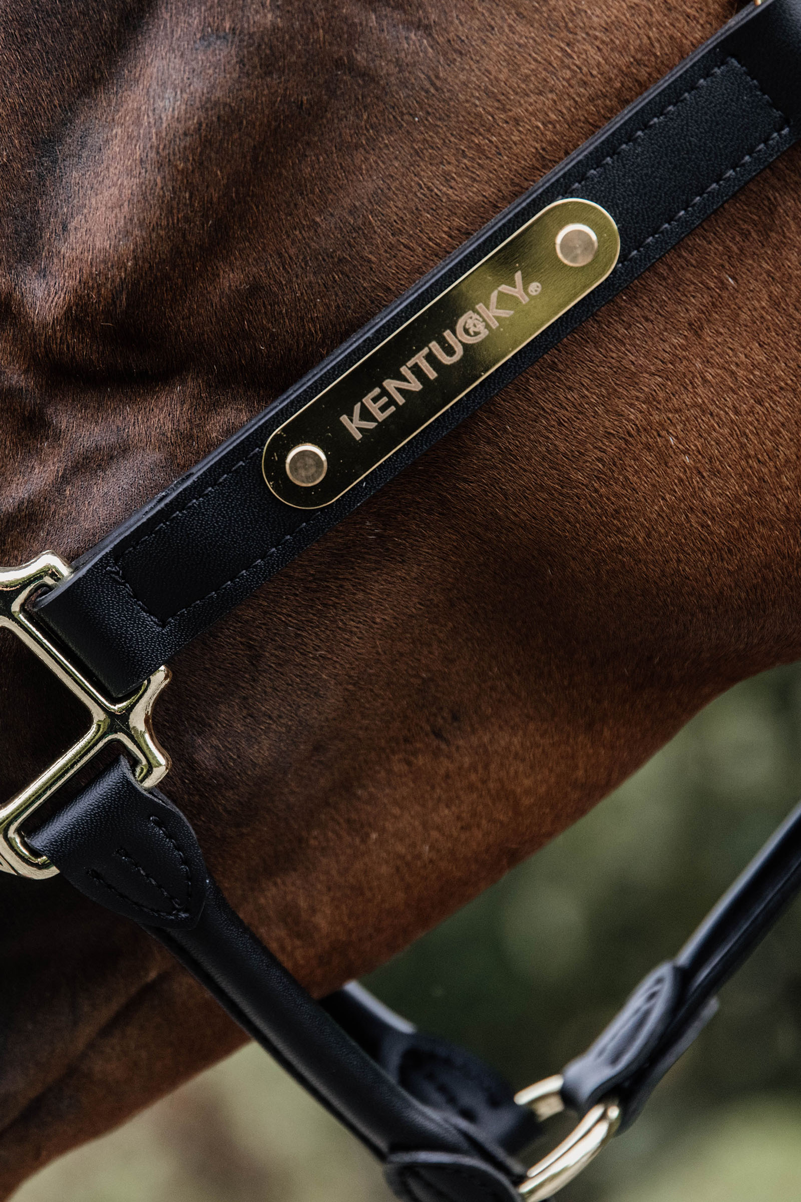 Kentucky Horsewear anatomisk lærgrime