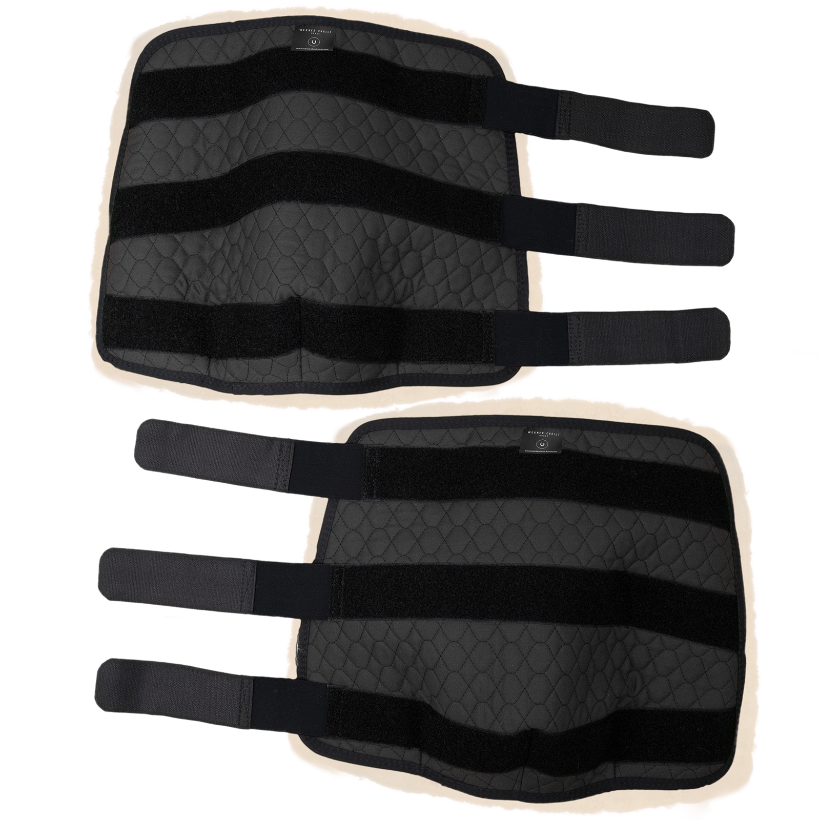 Christ Bakbeinsbeskyttere