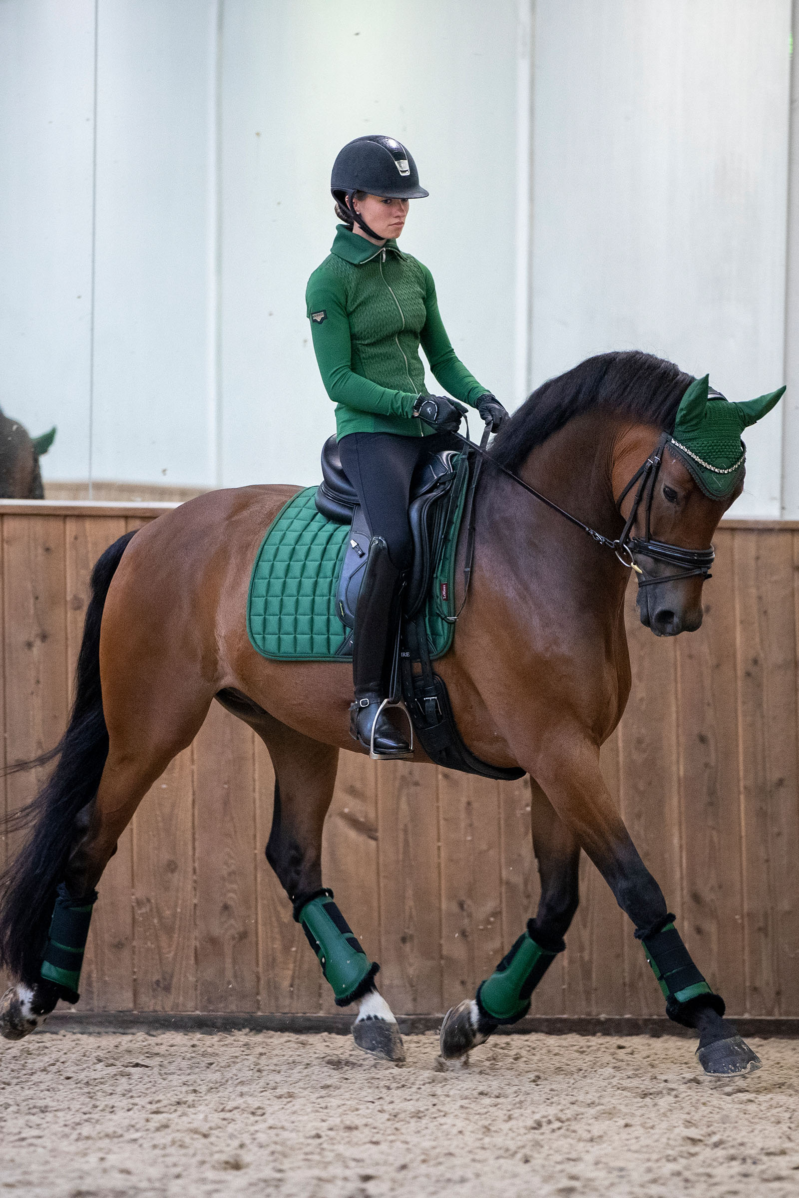 LeMieux Loire Classic dressursjabrak